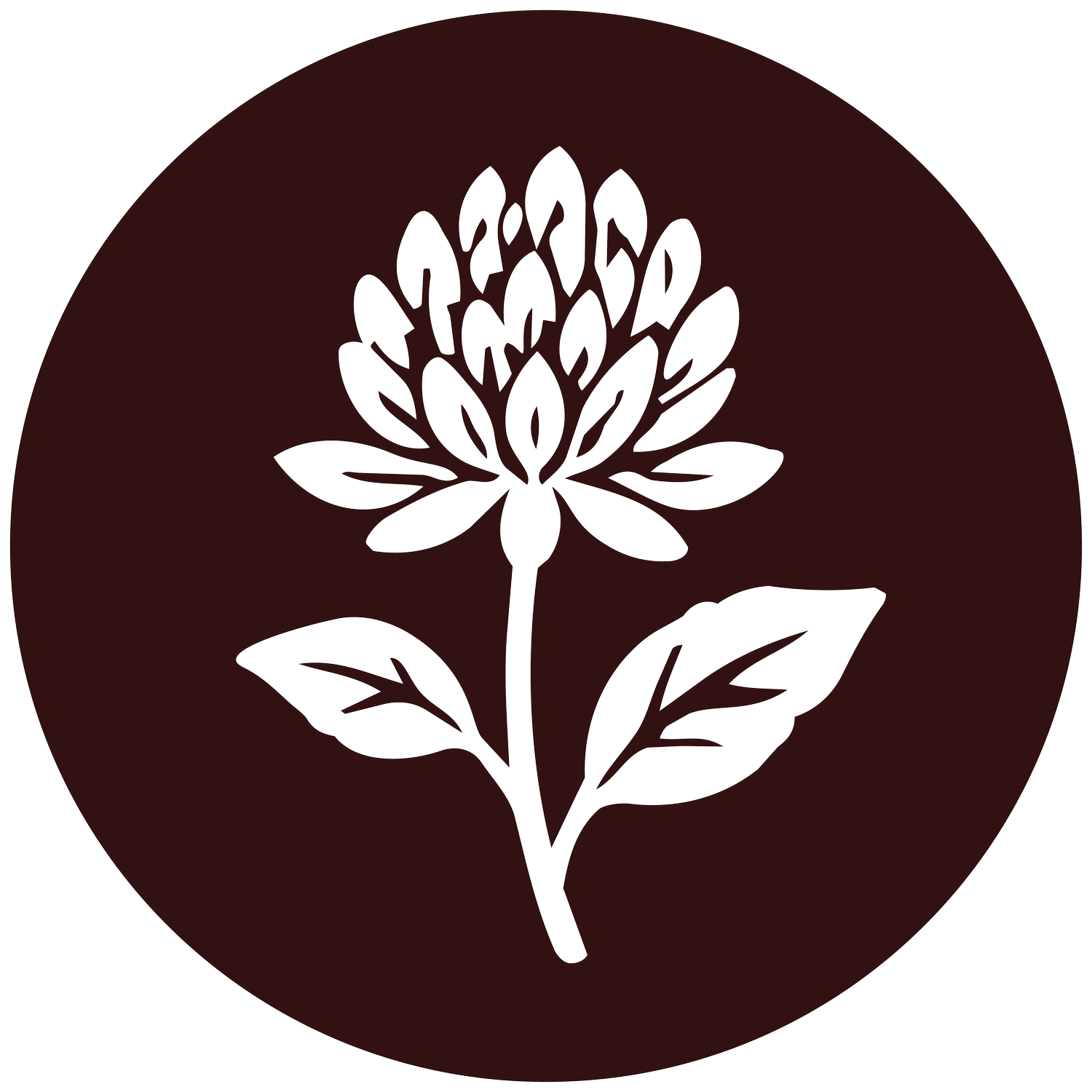 Katy Evans Design