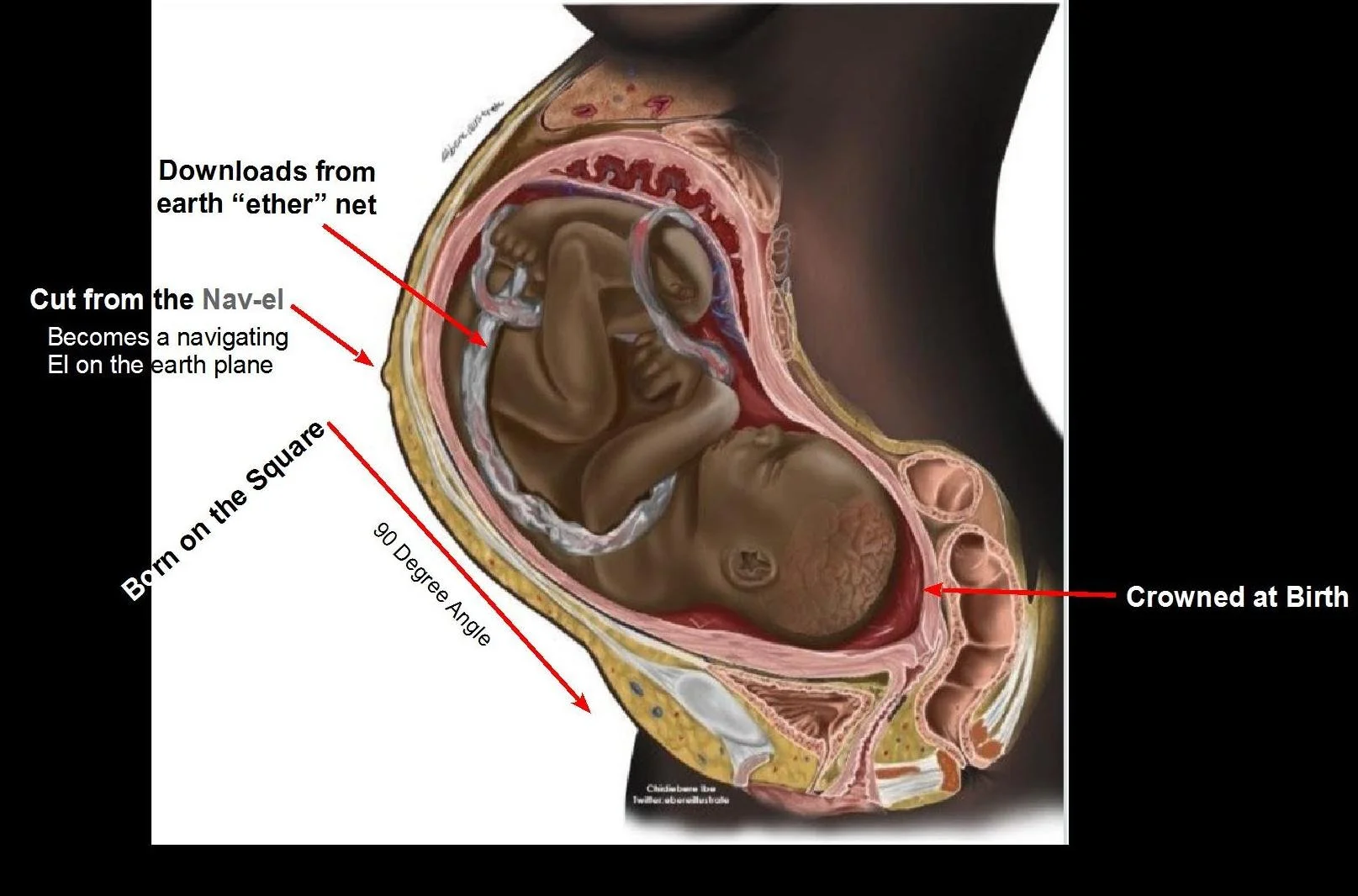 Temple Built in Womb.jpg