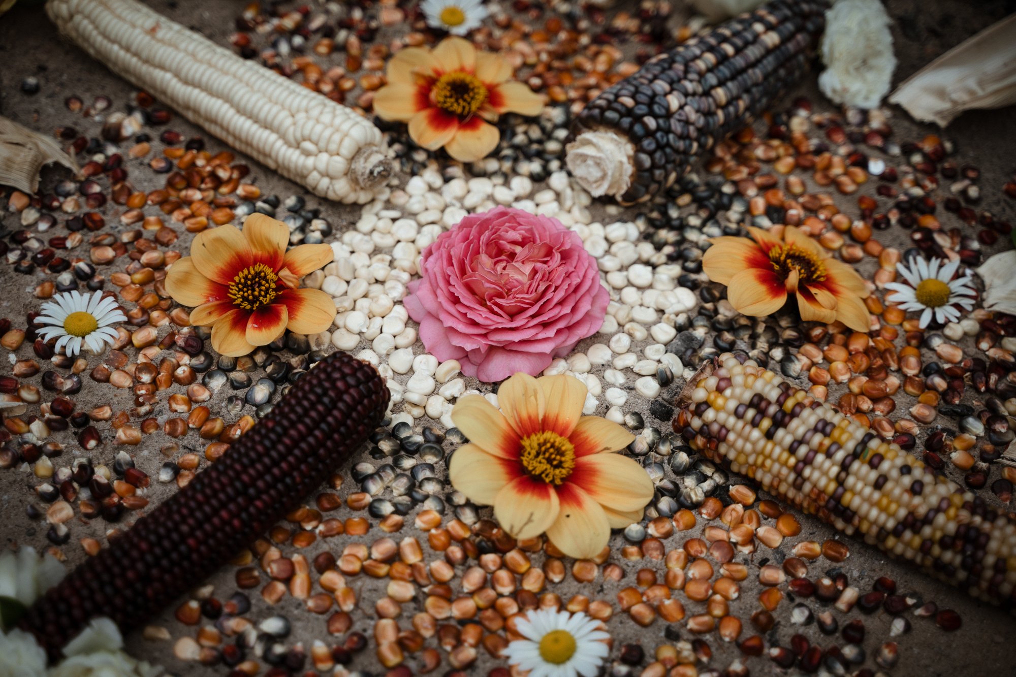 praizemaize-10.jpg
