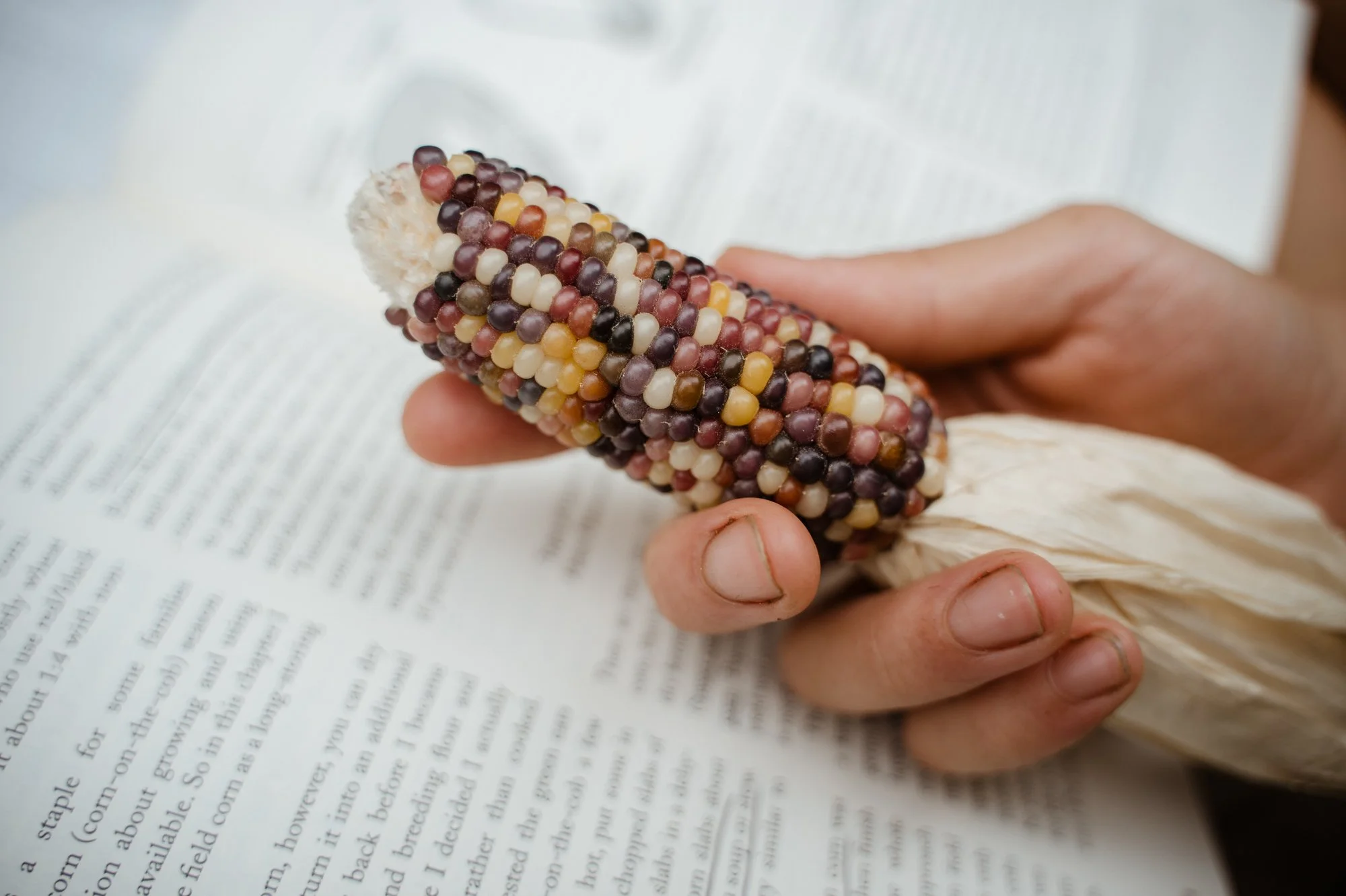 praizemaize-11.jpg
