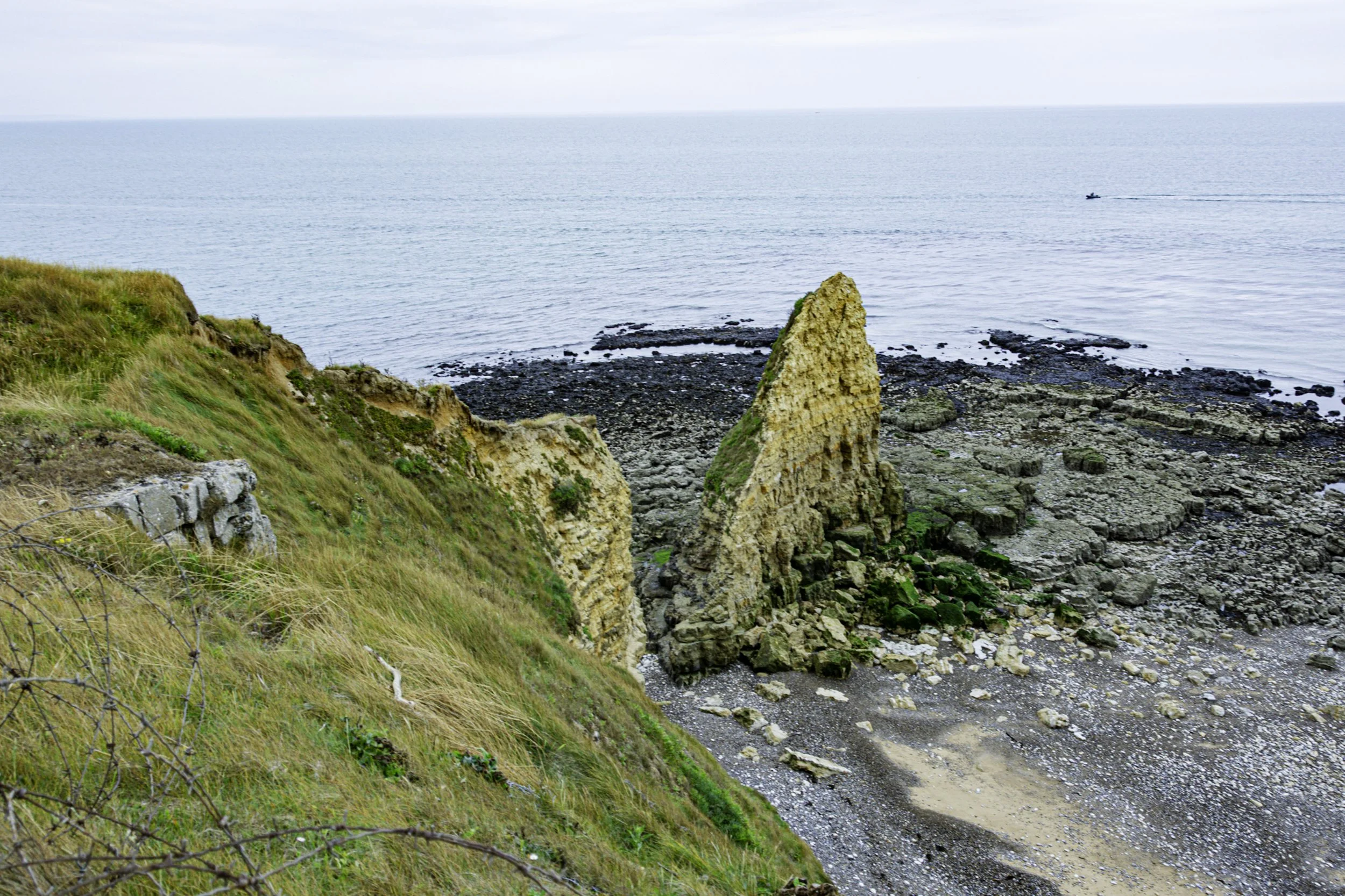 _DSC9782.jpg