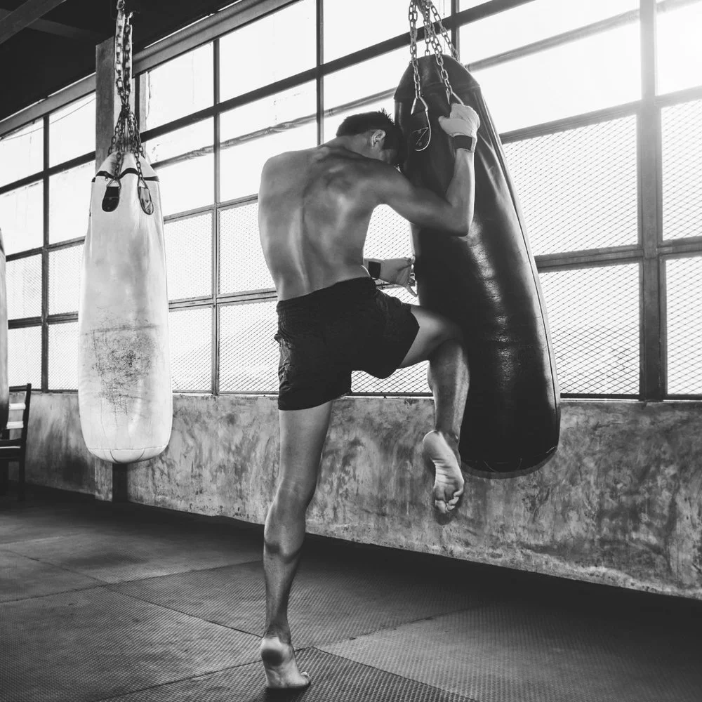 Rent at Undisputed: An Ideal Training Centre for Coaches to Teach and Learn