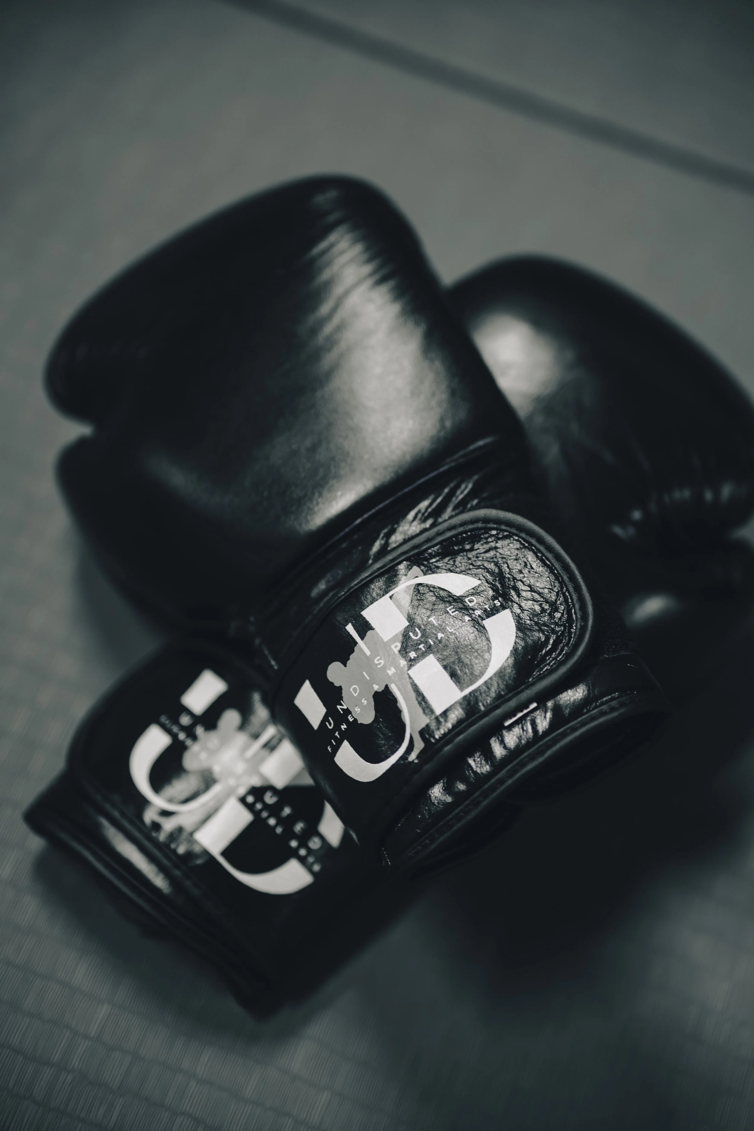 More Than a Gym: Family, Community &amp; the Evolution of Undisputed