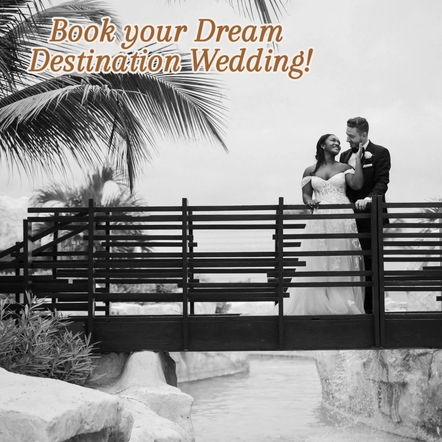 ✨️Wedding portraits done right! 💍 

 Let&rsquo;s turn your vision into lasting memories!

✨️Wedding Day Coordinator/Co-Stylist @tropicalchiceventsja
📌 @oceanedenbay

📸  @rodcliffehume
🎥 @jpproductionsjm
📷 🎥@luxelovecollectiveja

 #tropicalchicw