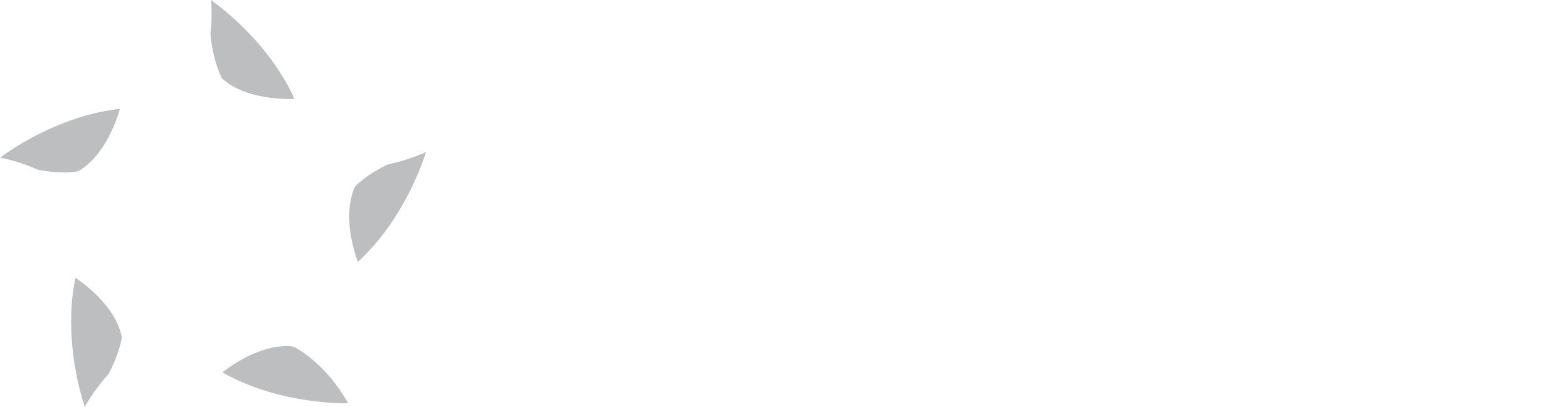 Diocese of the Southern Cross White Logo