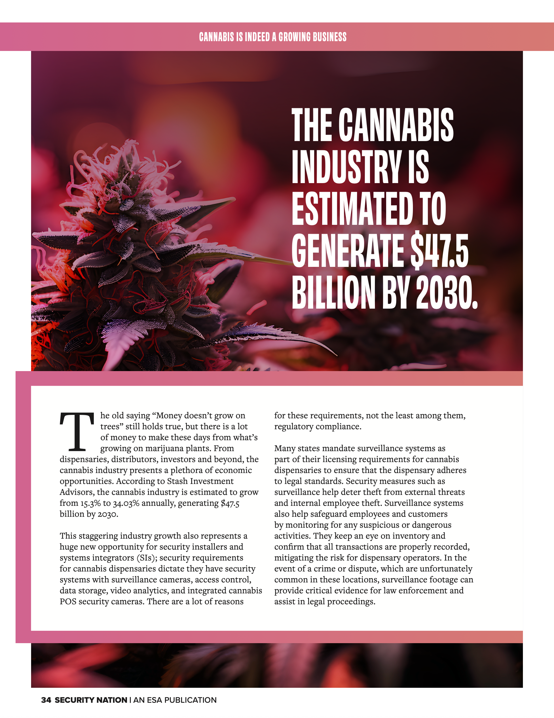 Screenshot 2025-07-22 at 10.31.48 PM.png