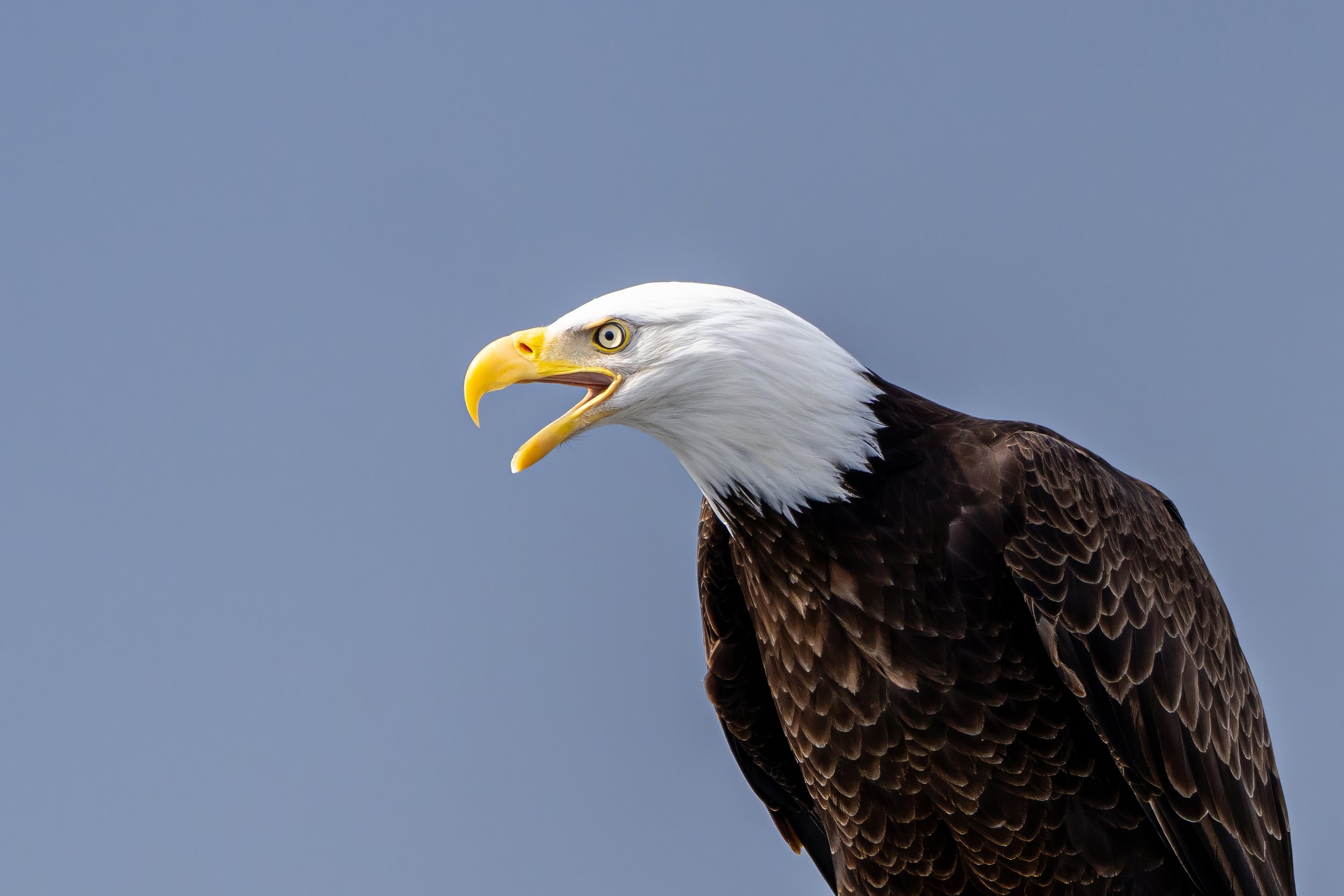 TylerCave_Photography_22.jpg