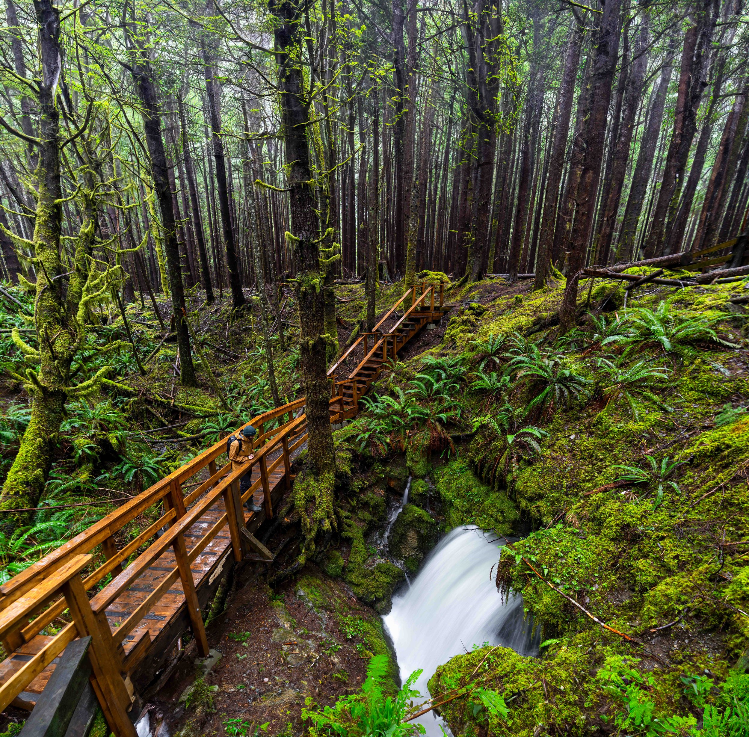 TylerCave_Photography_91.jpg
