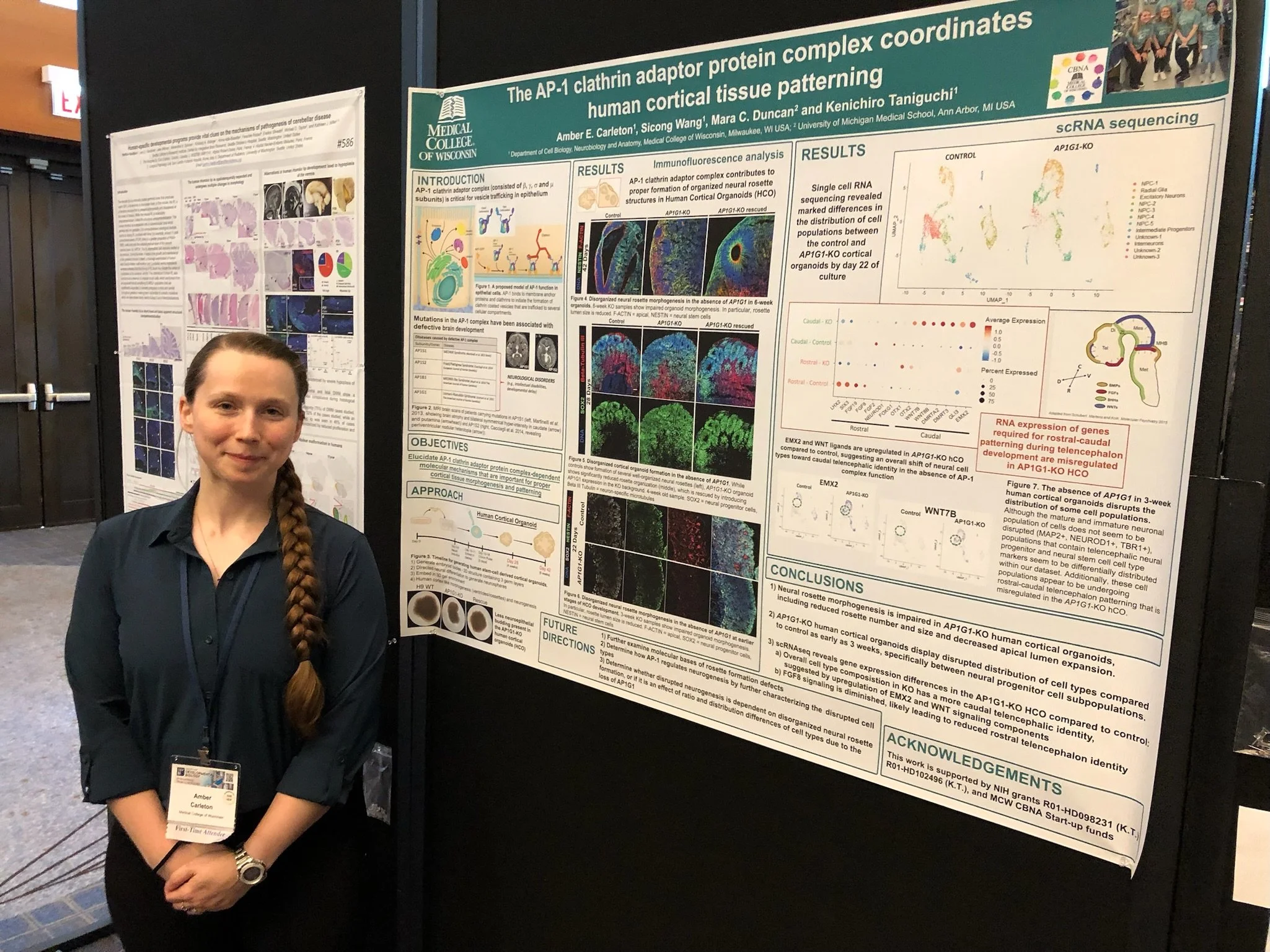 Amber's poster at SDB 2023 in Chicago