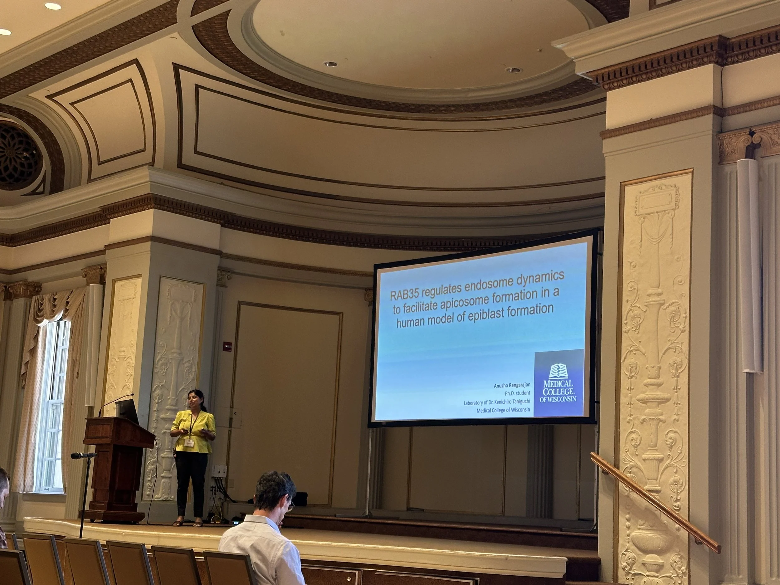 Anusha giving her talk at 2024 SDB Midest meeting