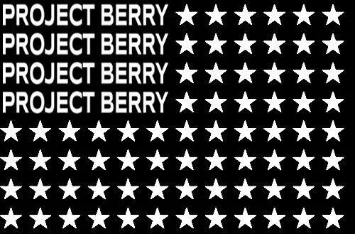 ProjectBerry.Co 8/2/2025