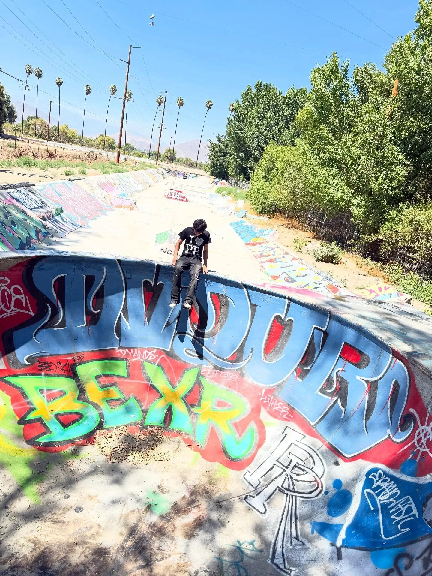 ProjectBerry Summer25 Now Live on ProjectBerry.co!
#ProjectBerry