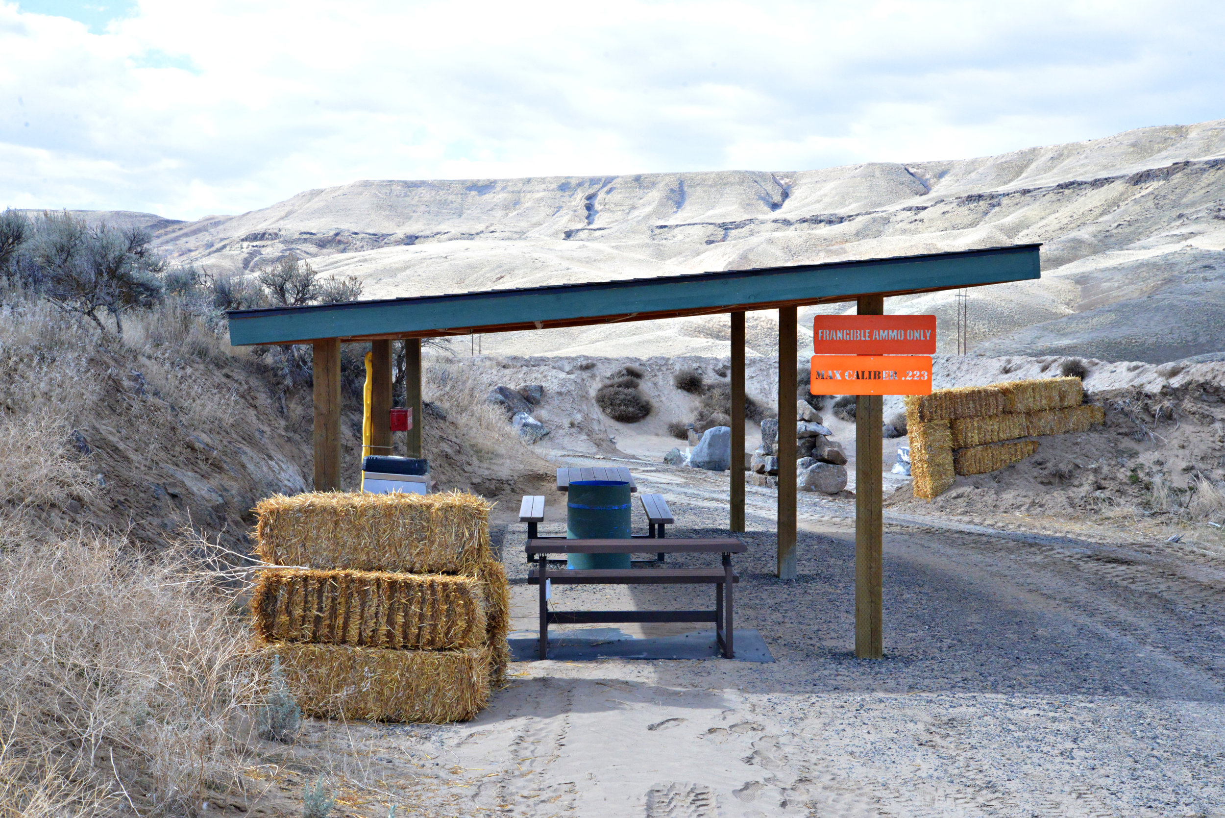 Rifle Col 1 Shed.JPG