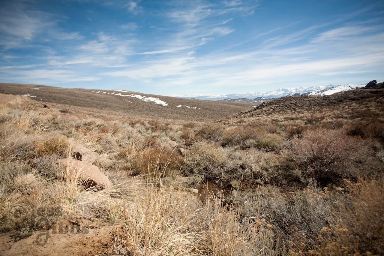 Belt-Fed Machine Gun Range 