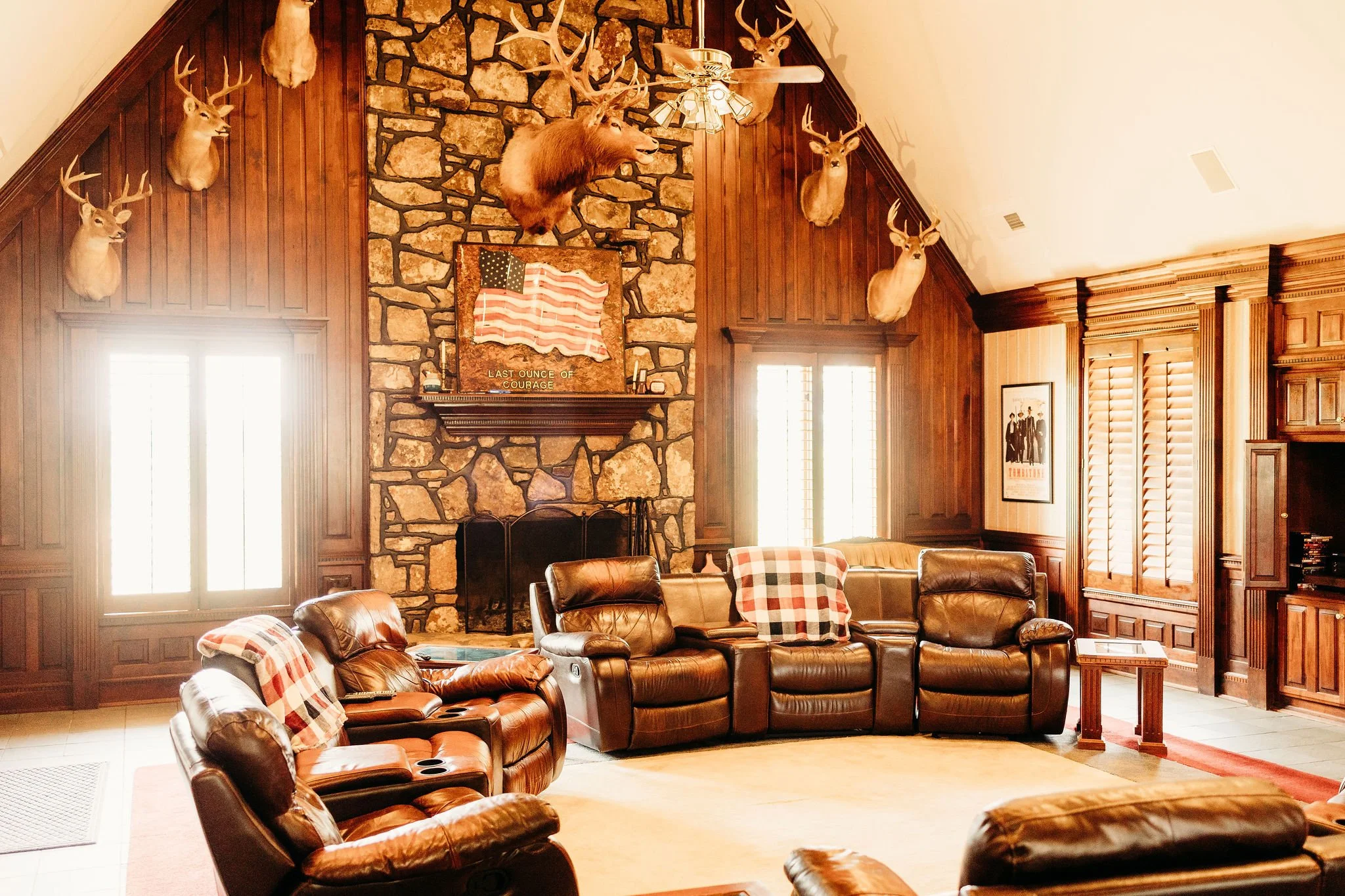 DEAD ANIMAL HOUSE LIVING ROOM.jpg