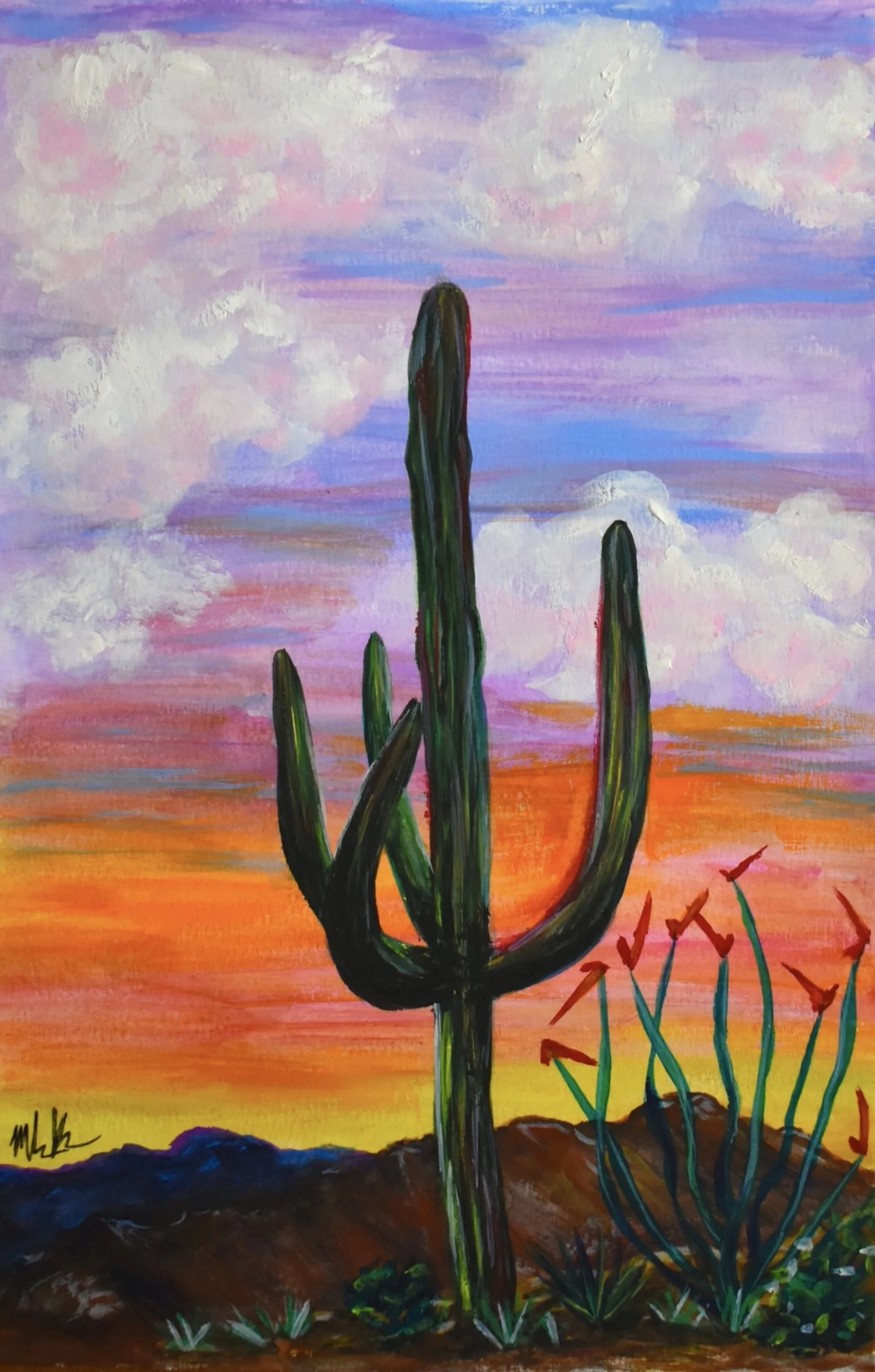 Sonoran Skies for print.jpg