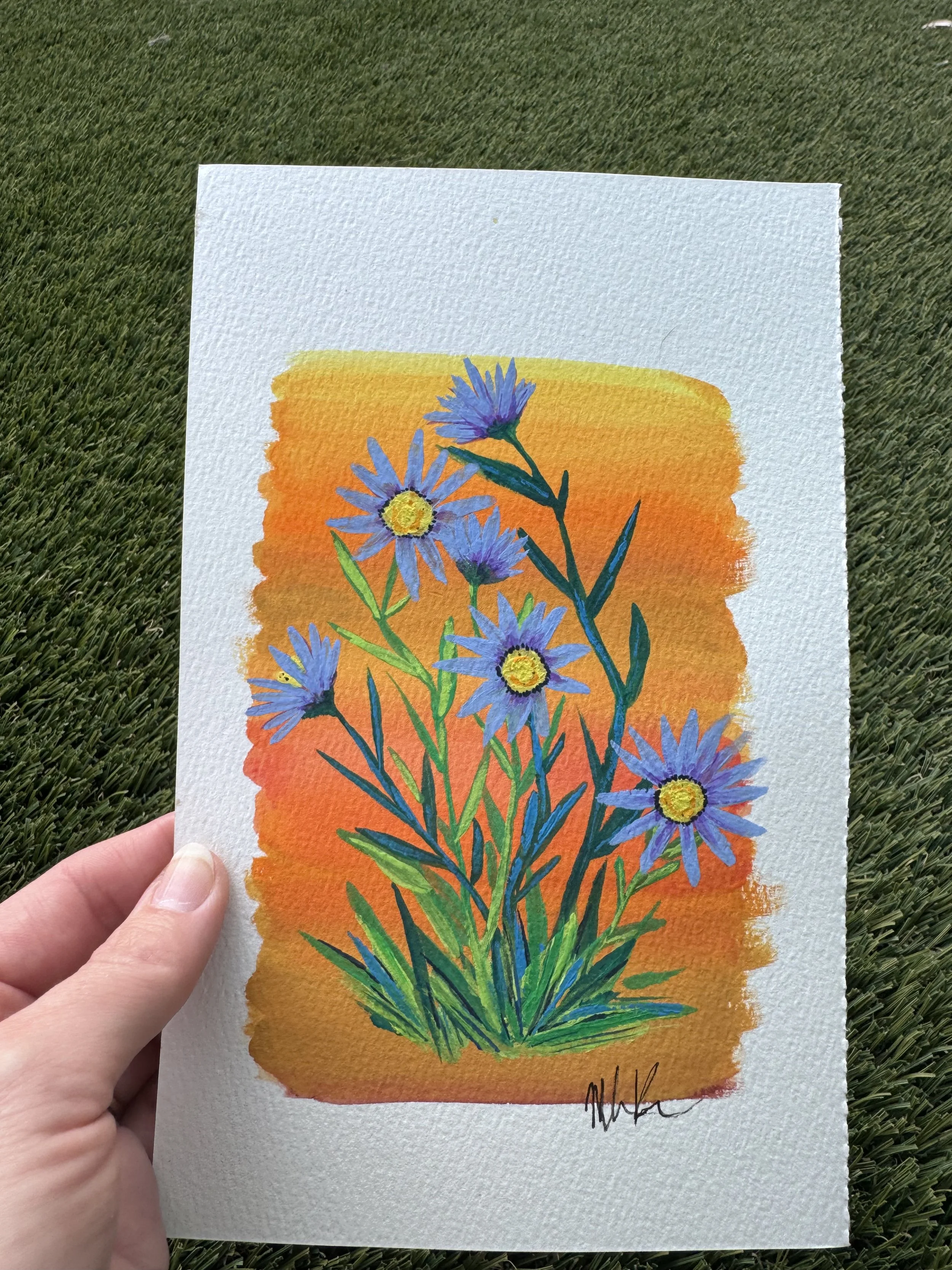 Original Marsh Aster