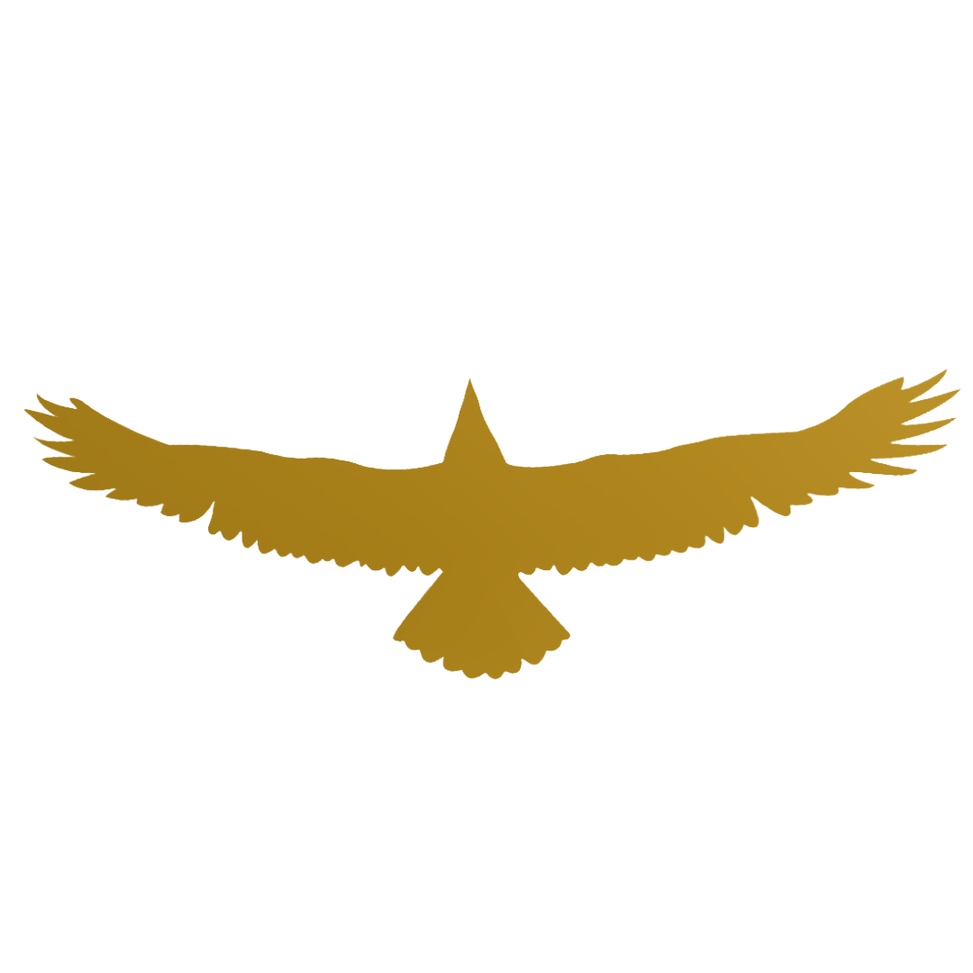 Inspirational Coaching