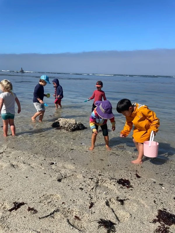 Summer Camp - Moss Beach  (Full Day)