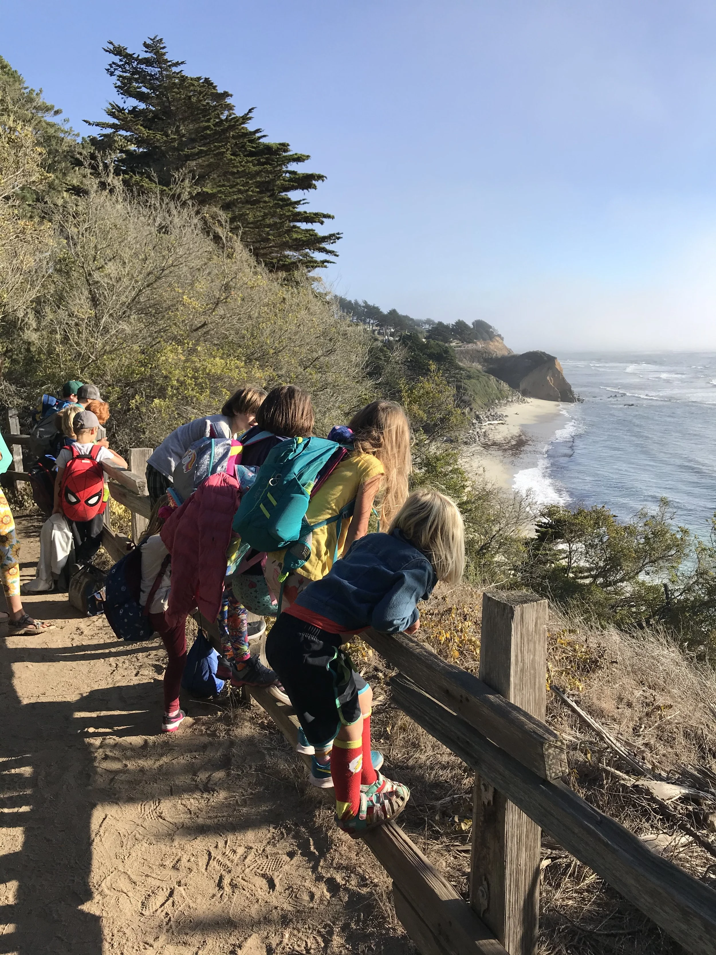 Summer Camp - Moss Beach  (Half Day)