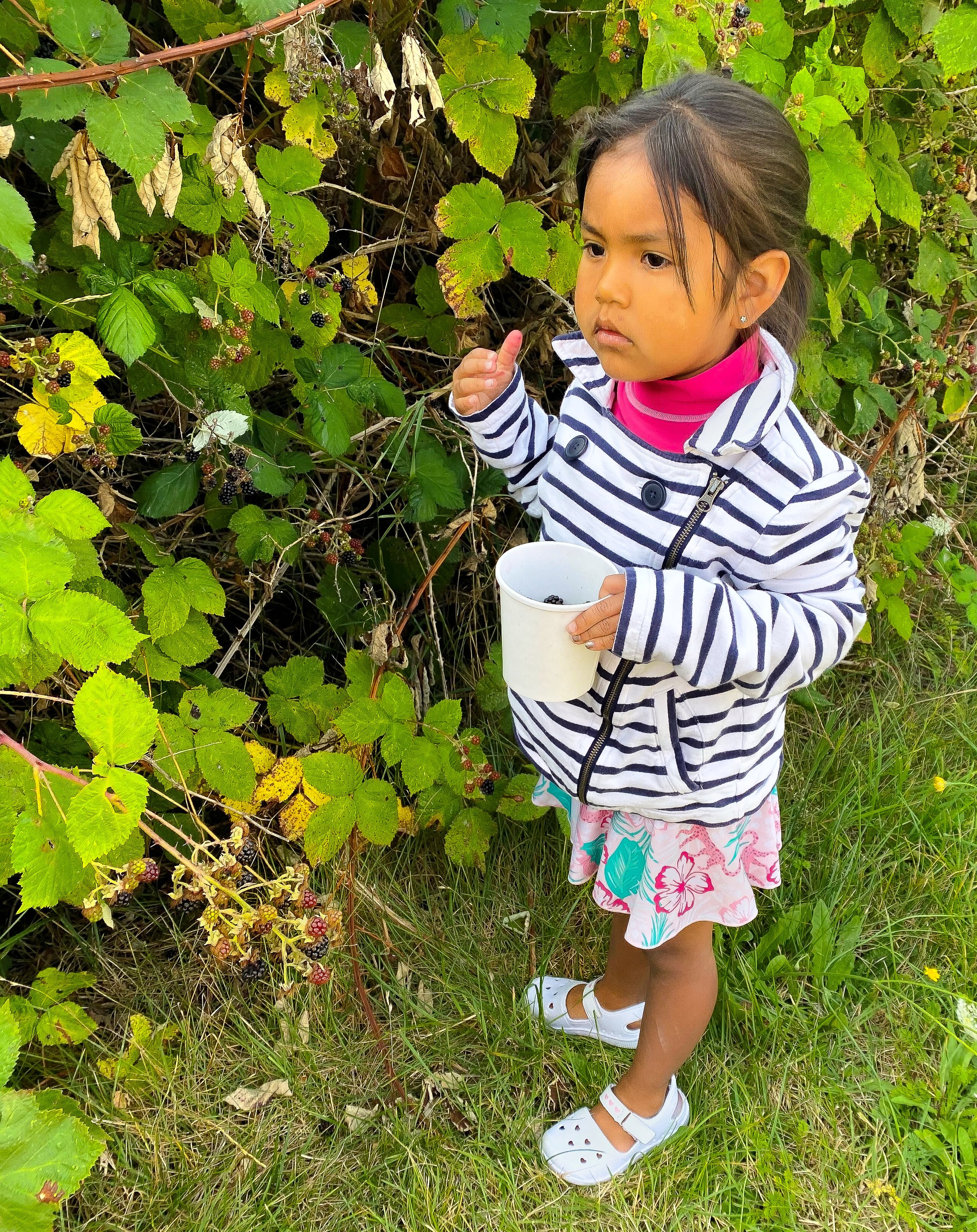 4S berry picking little one-2.jpg