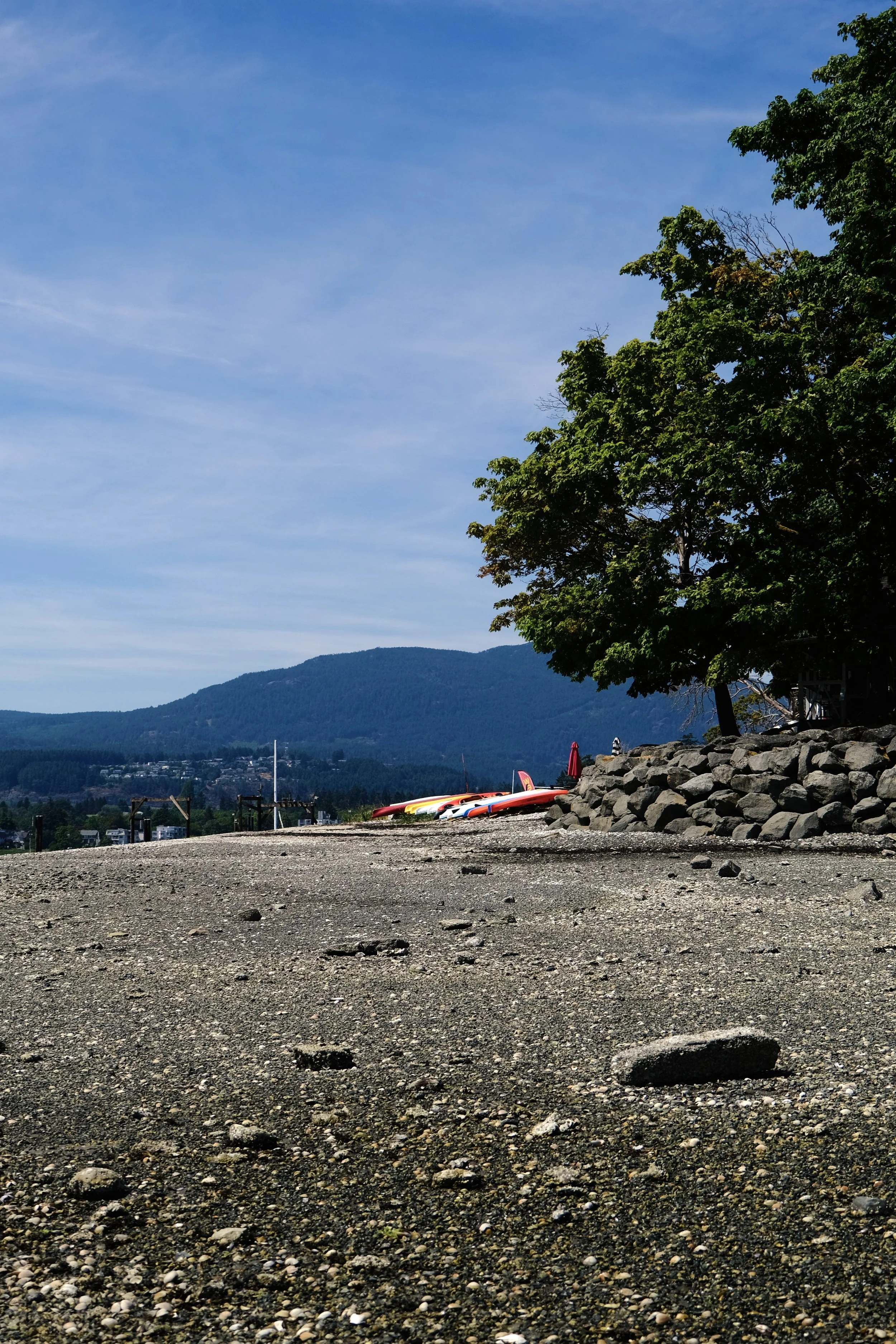 DSCF4843.JPG