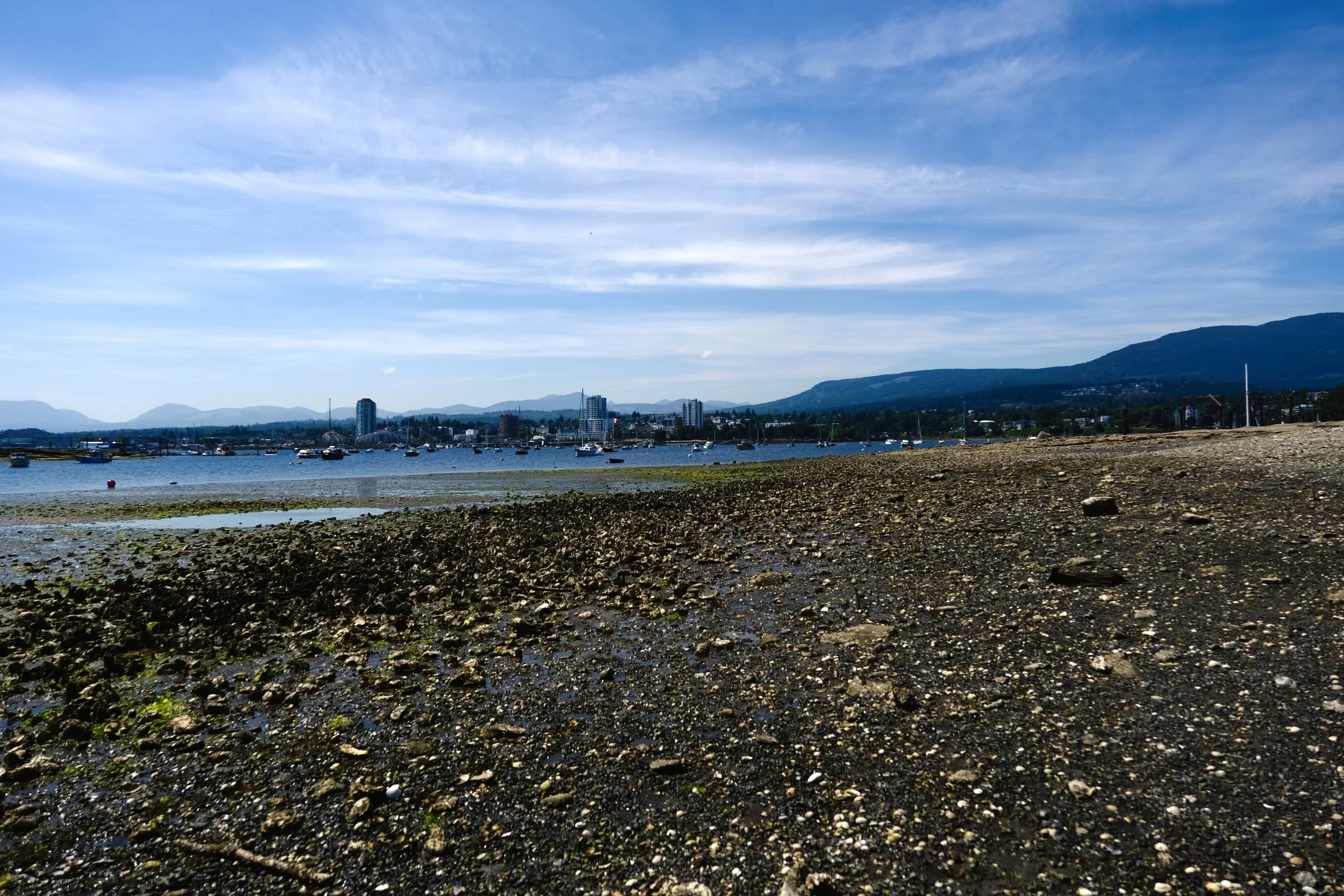 DSCF4845.JPG