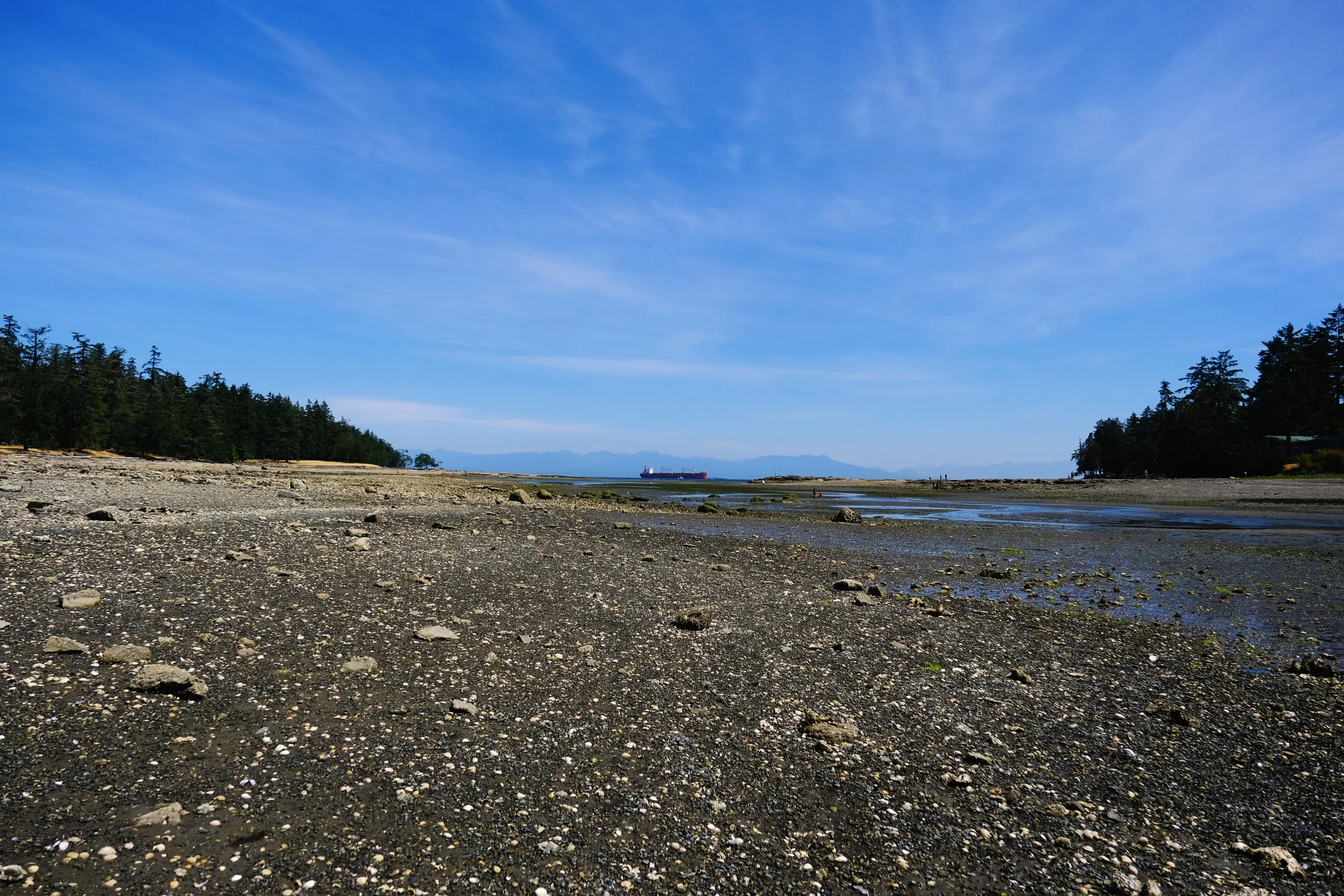DSCF4847.JPG