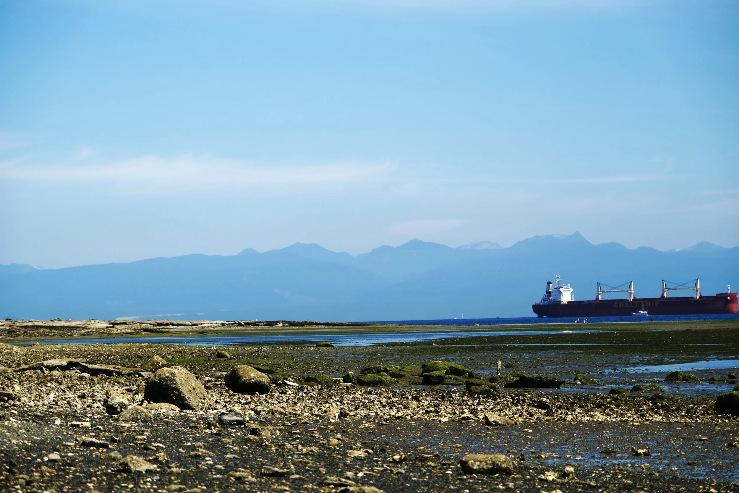 DSCF4849.JPG