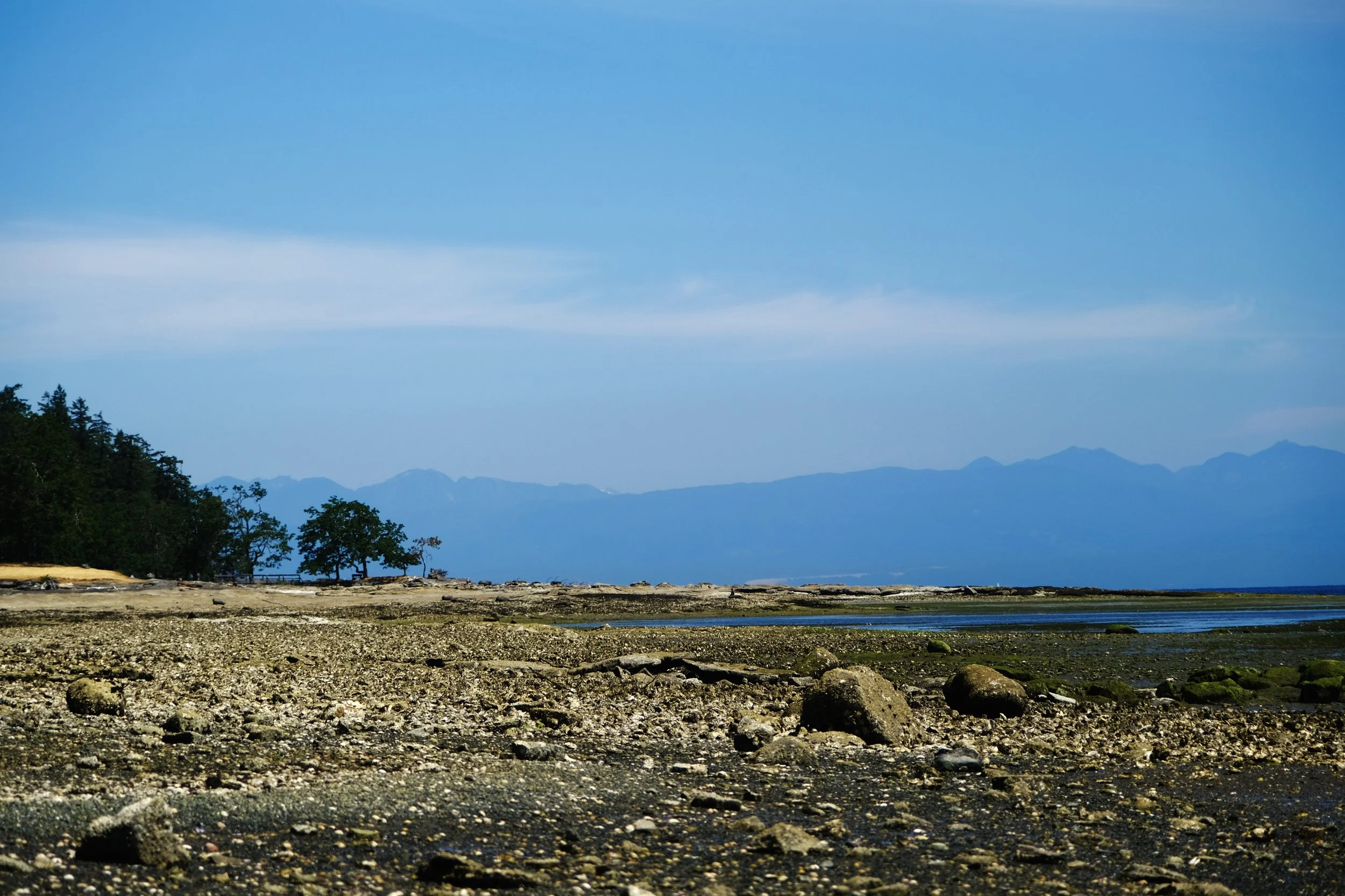 DSCF4850.JPG