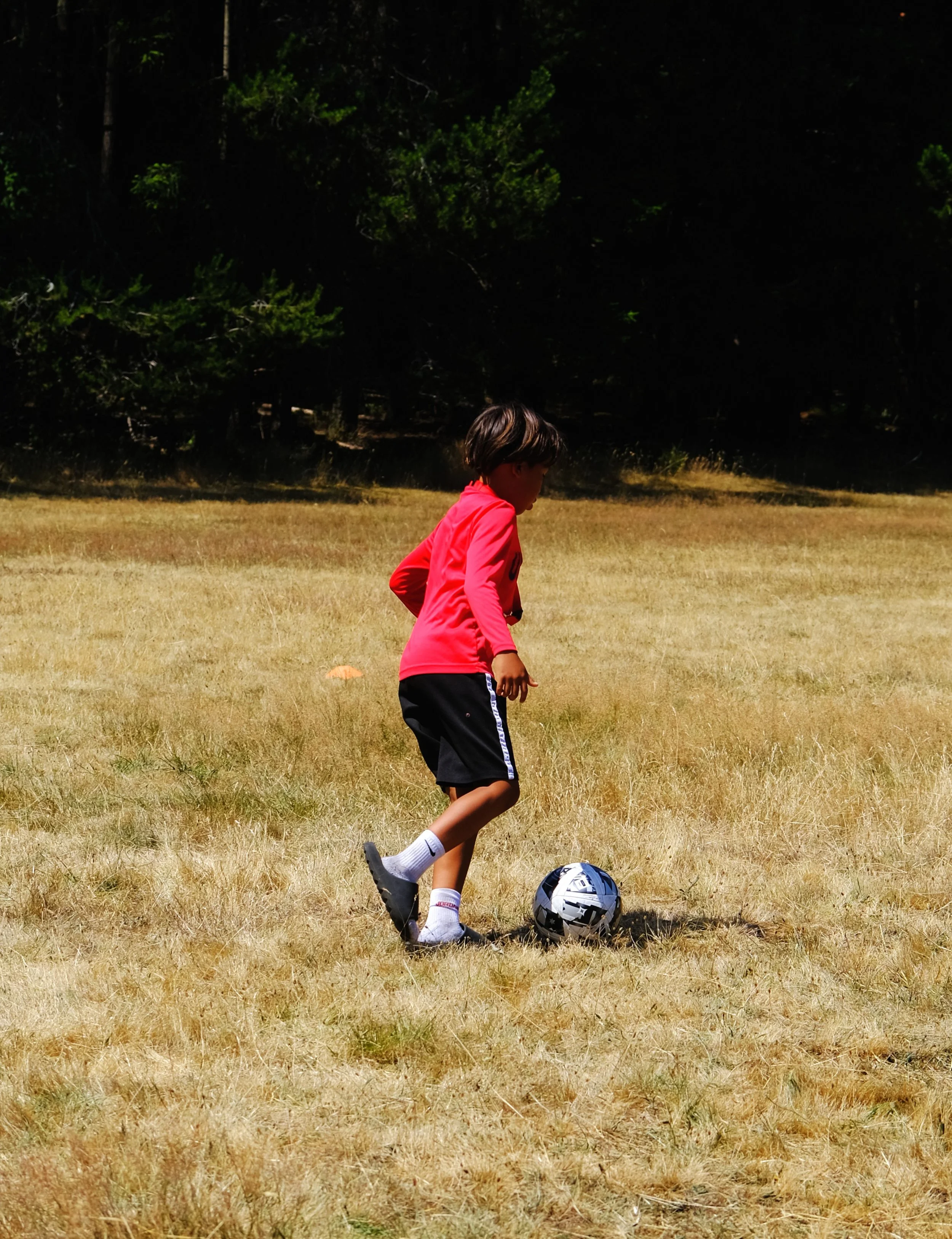 DSCF4954.JPG