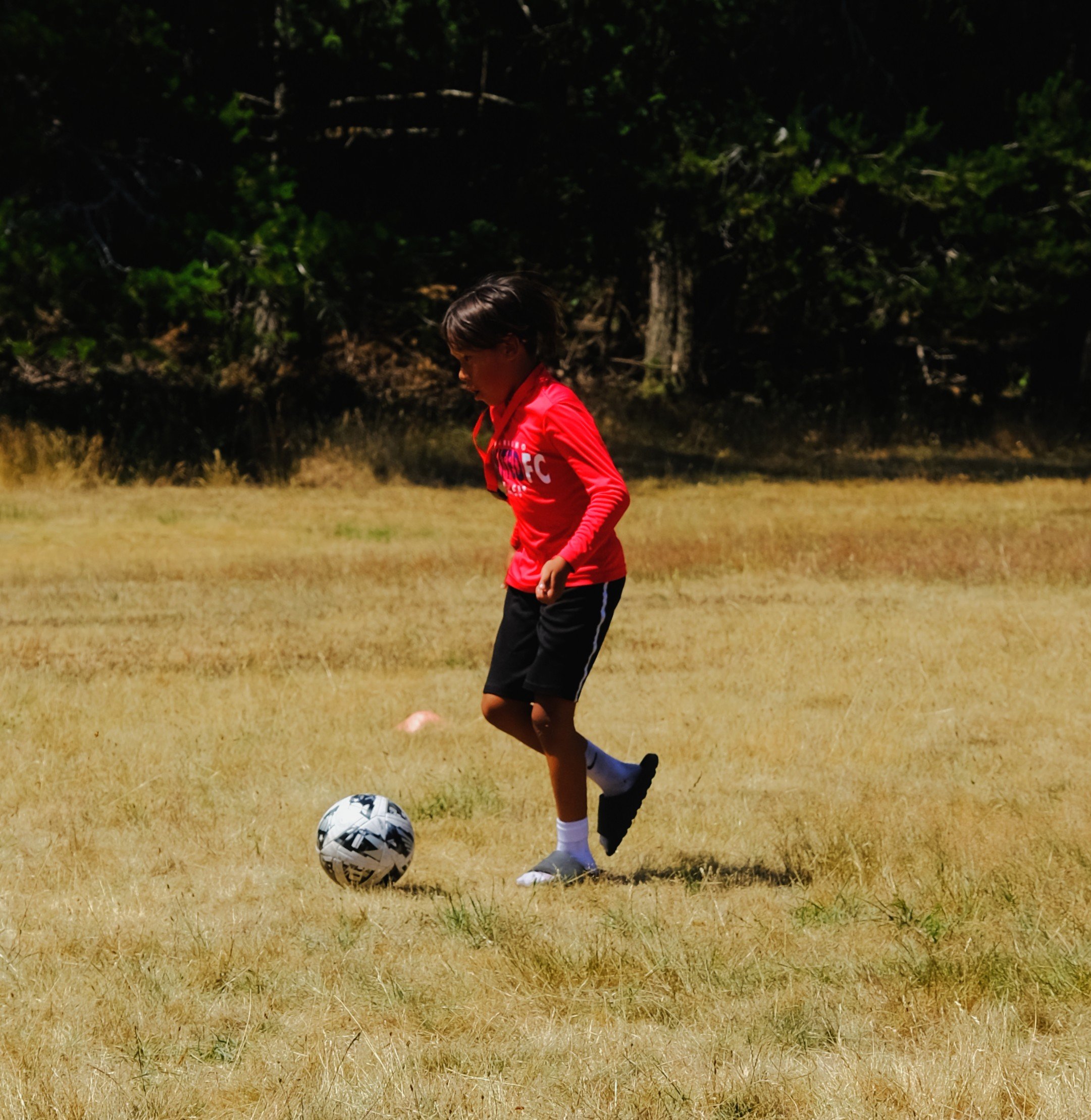 DSCF4956.JPG