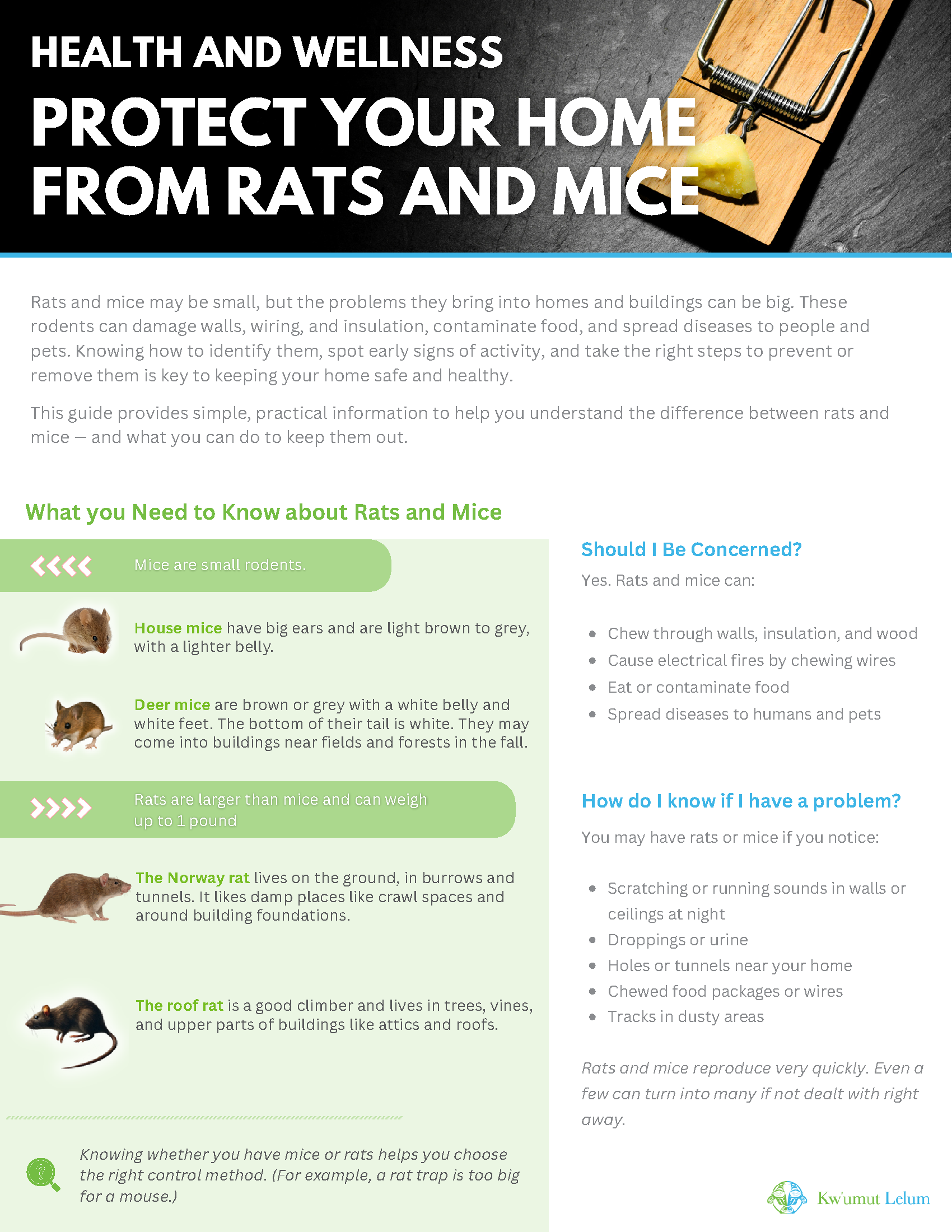 Rodent Safety Resource _1.png