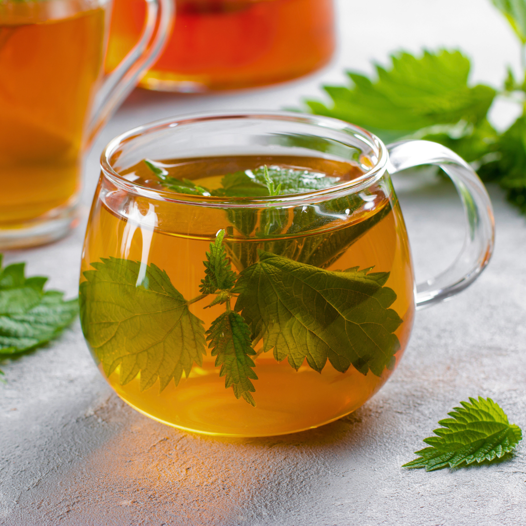 Stinging Nettle Tea Allergic Reaction
