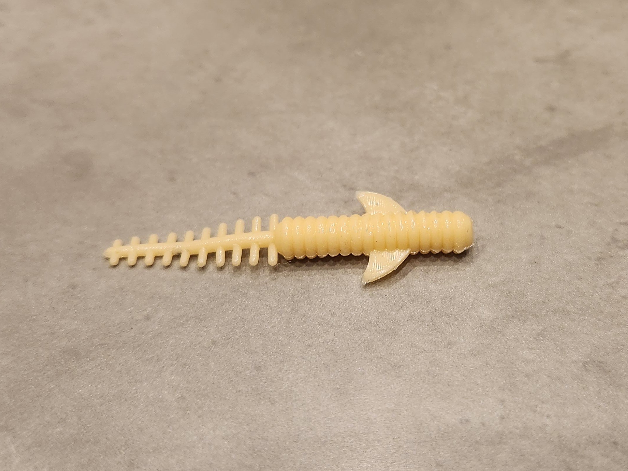 Imp bone.jpg
