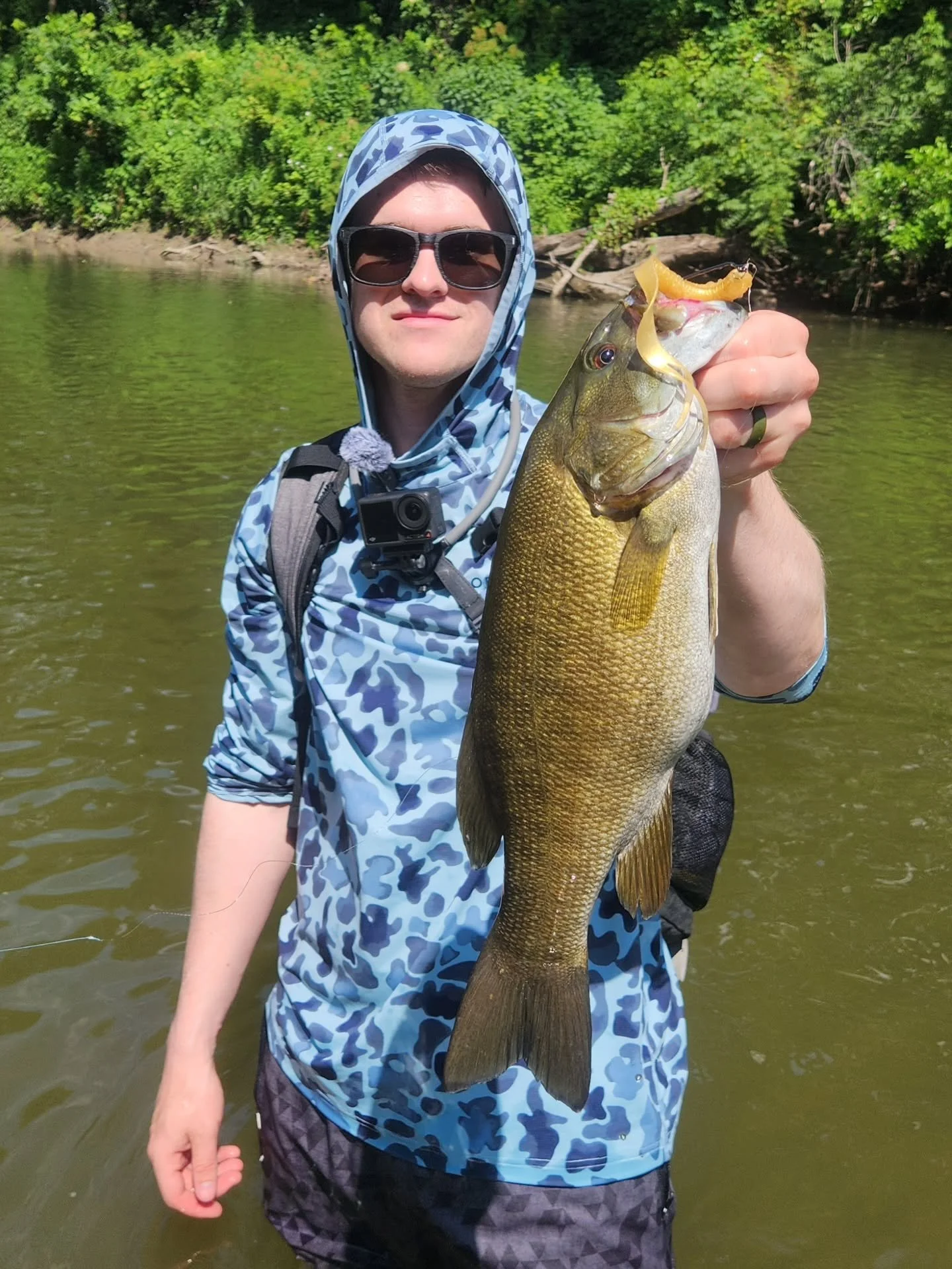 Posted a video yesterday wade fishing for smallmouth in my favorite river. I love using the EFH Wyrm for this type of fishing. A weightless texas-rig Wyrm is so killer in clear water. Also, I caught a 2.5 in the same brushpile where I caught a 2.5 la