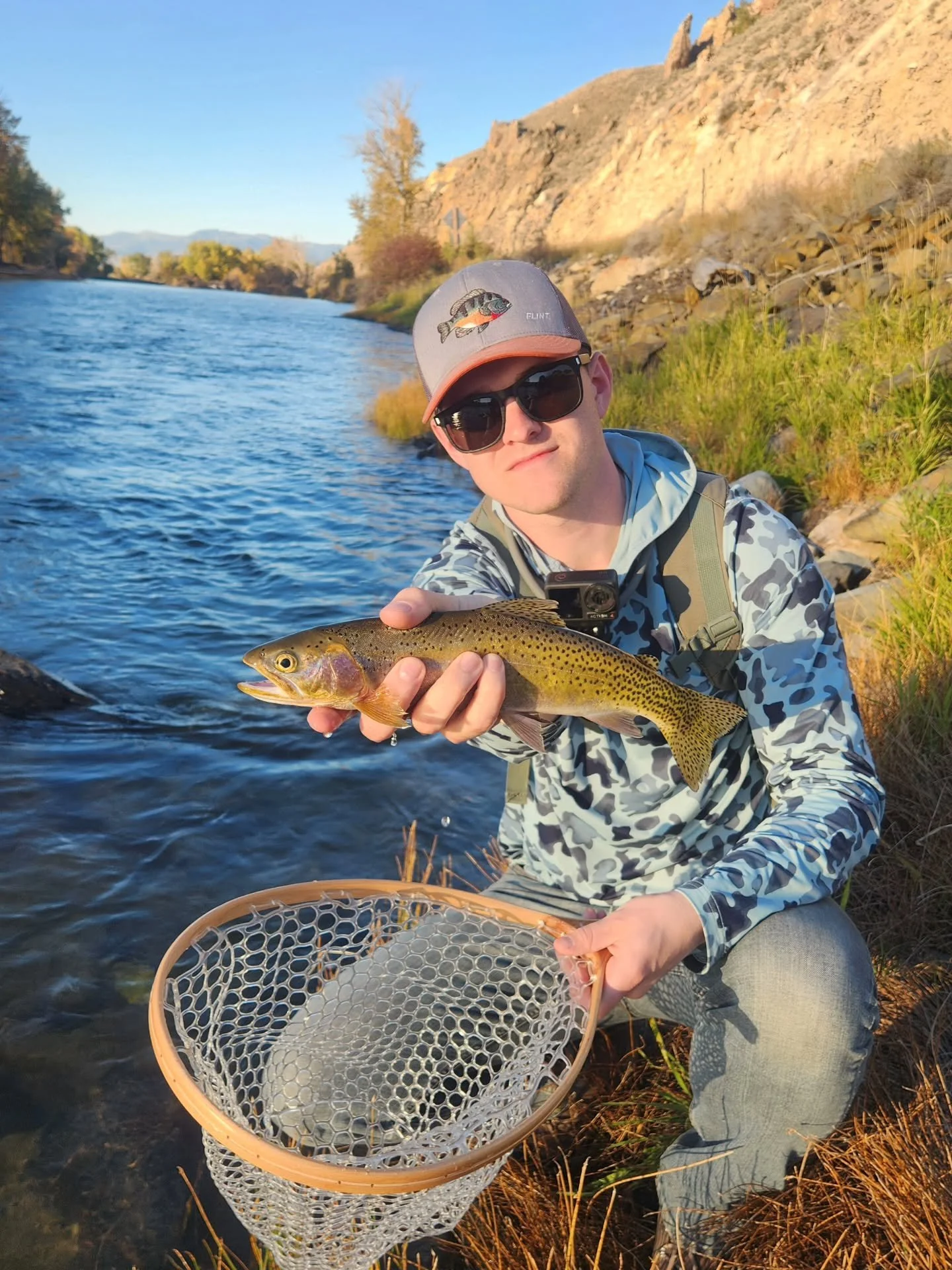Just spent 2 days in Idaho harassing the local wildlife. Turns out there's lots of cutthroat trout and suburban mule deer. Also, lots of black cats, which walked into our Airbnb as if they owned it (maybe they did 🤔). Thought this plant was pretty s