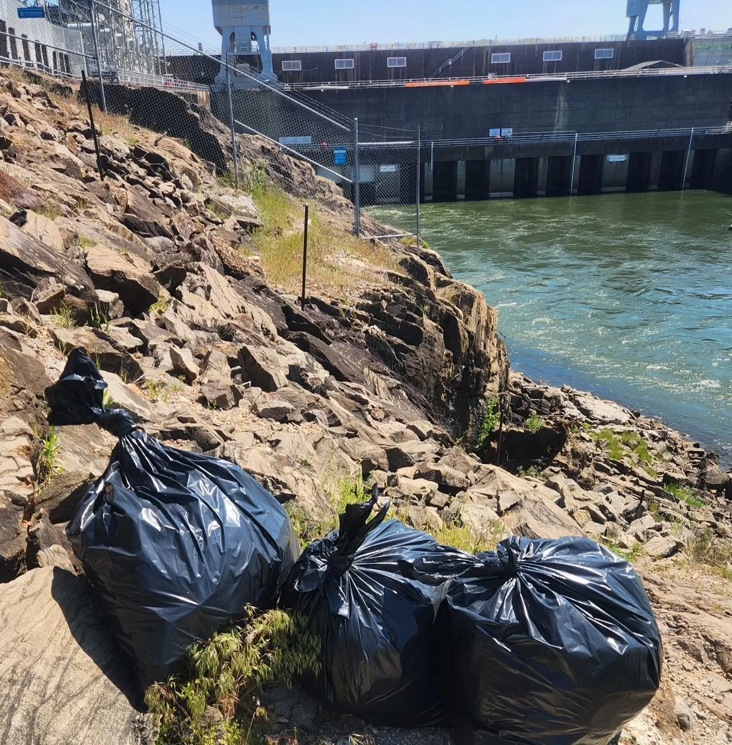 Said goodbye to my go-to fishing spot by catching a bunch of white bass and dragging out 3 bags of trash. I've been saying I was going to do this for years and it was now or never.

#riverfishing #whitebass #Tennesseeriver #bassfishing #bankfishing