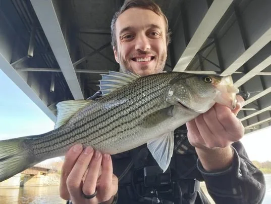 zach w banshee wiper.jpg