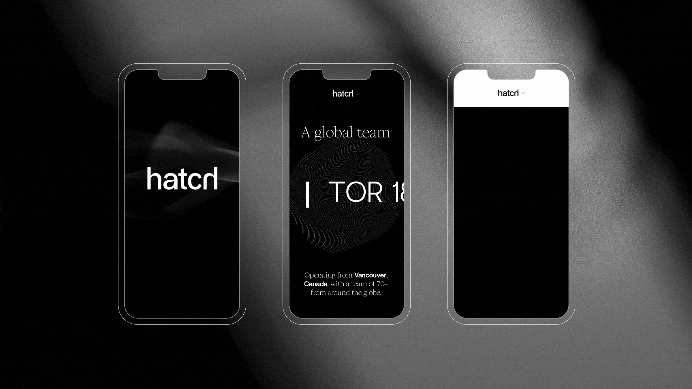 05-Hatch-mobile-website.gif