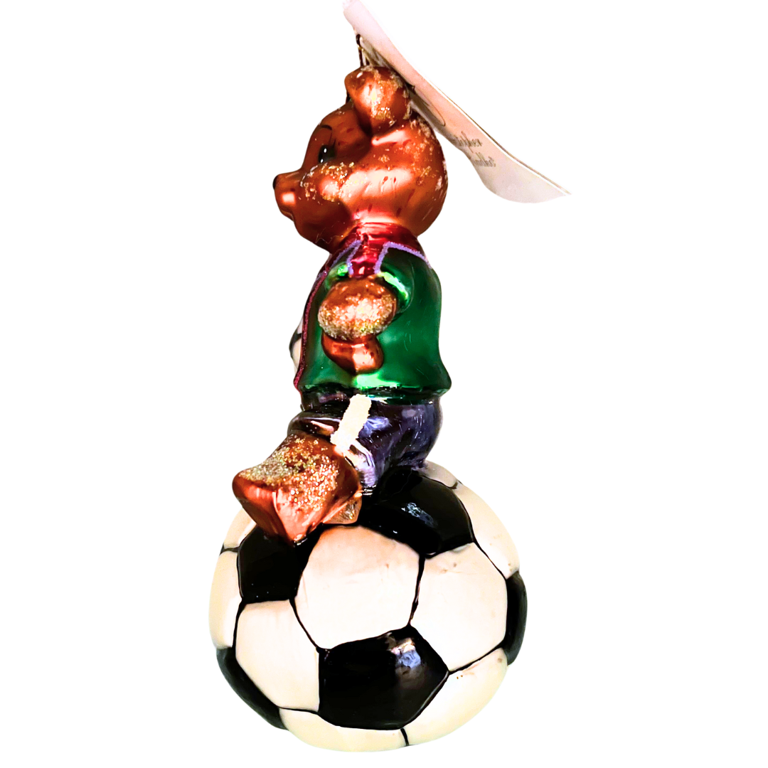 1010360 TEDDY GOALS 3.png