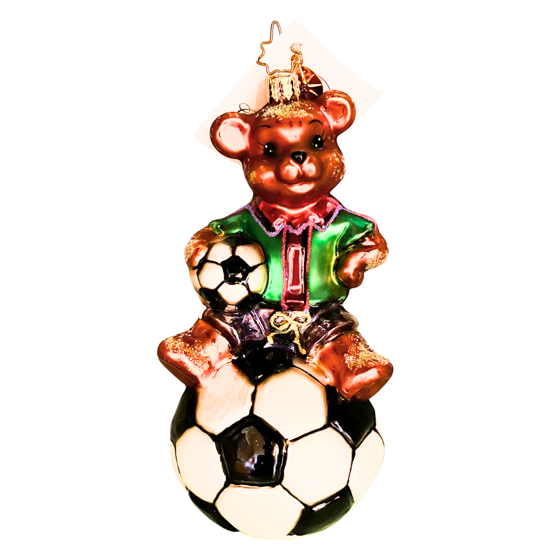 1010360 TEDDY GOALS 1.png
