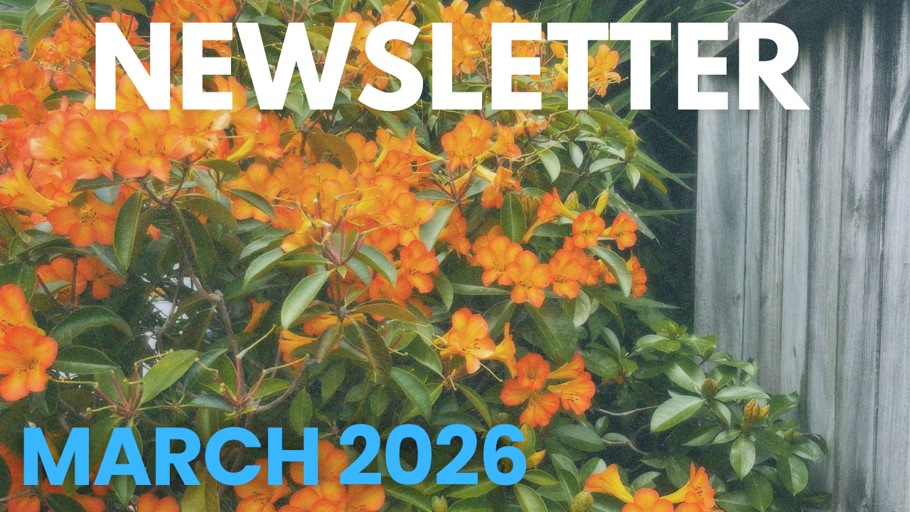 Insights Newsletter: March ‘26