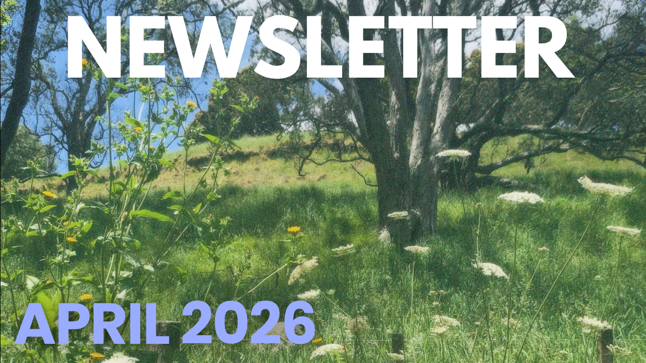 Insights Newsletter: April ‘26