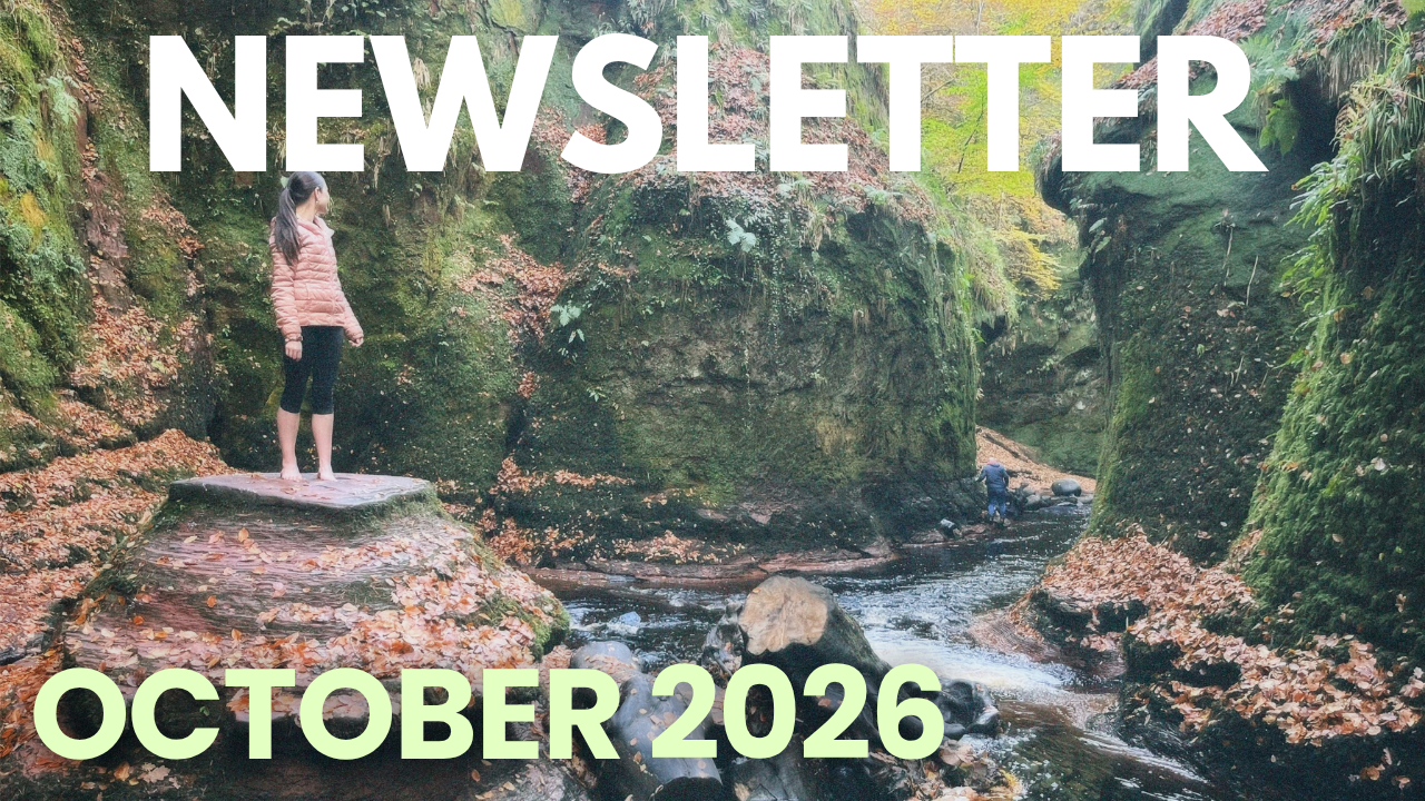 Insights Newsletter: October ‘26
