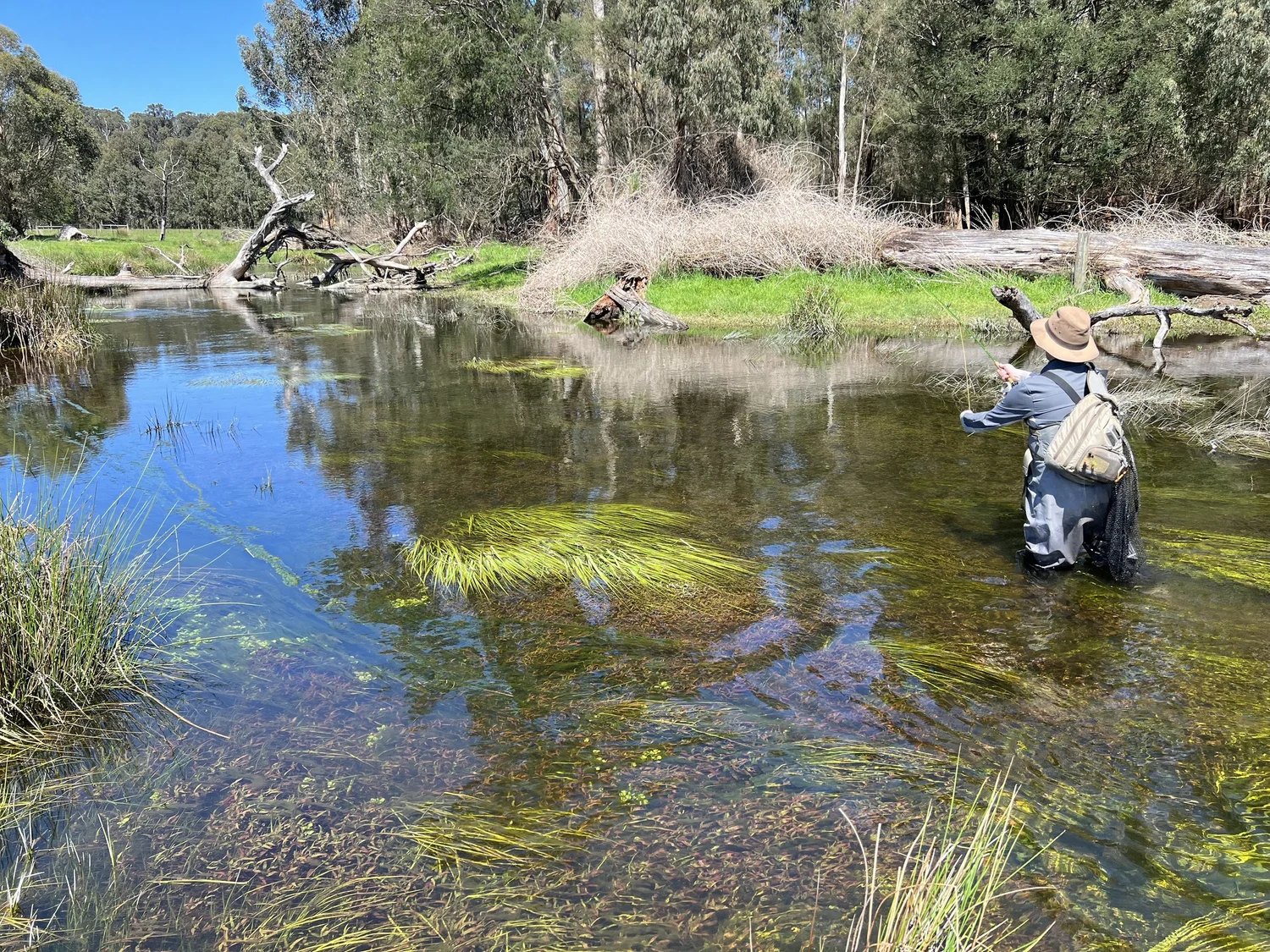 Fly fishing trip in Australia — Wilderness Fly Fishing