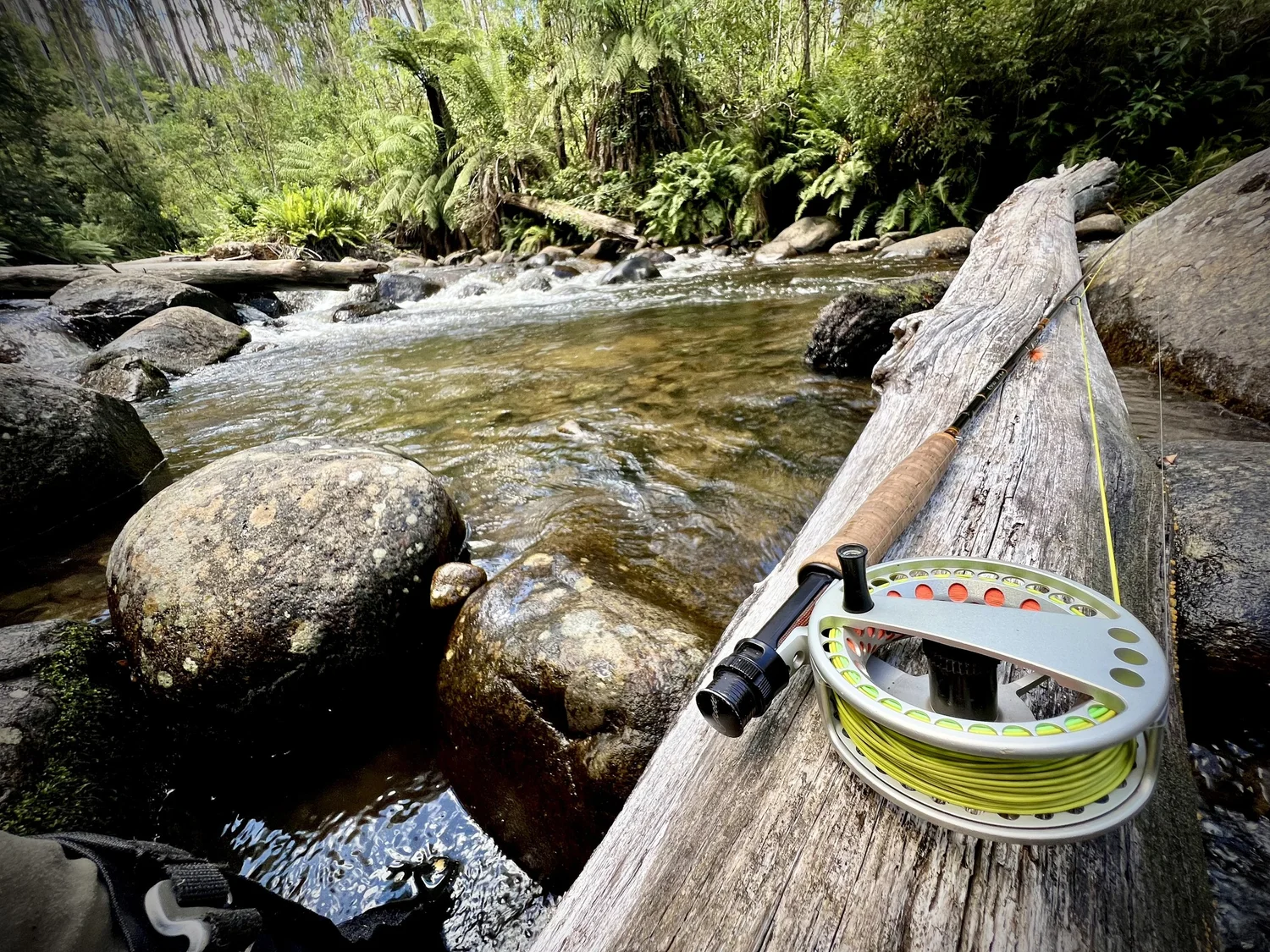 Guided fly fishing river trips Vic Australia — Wilderness Fly Fishing