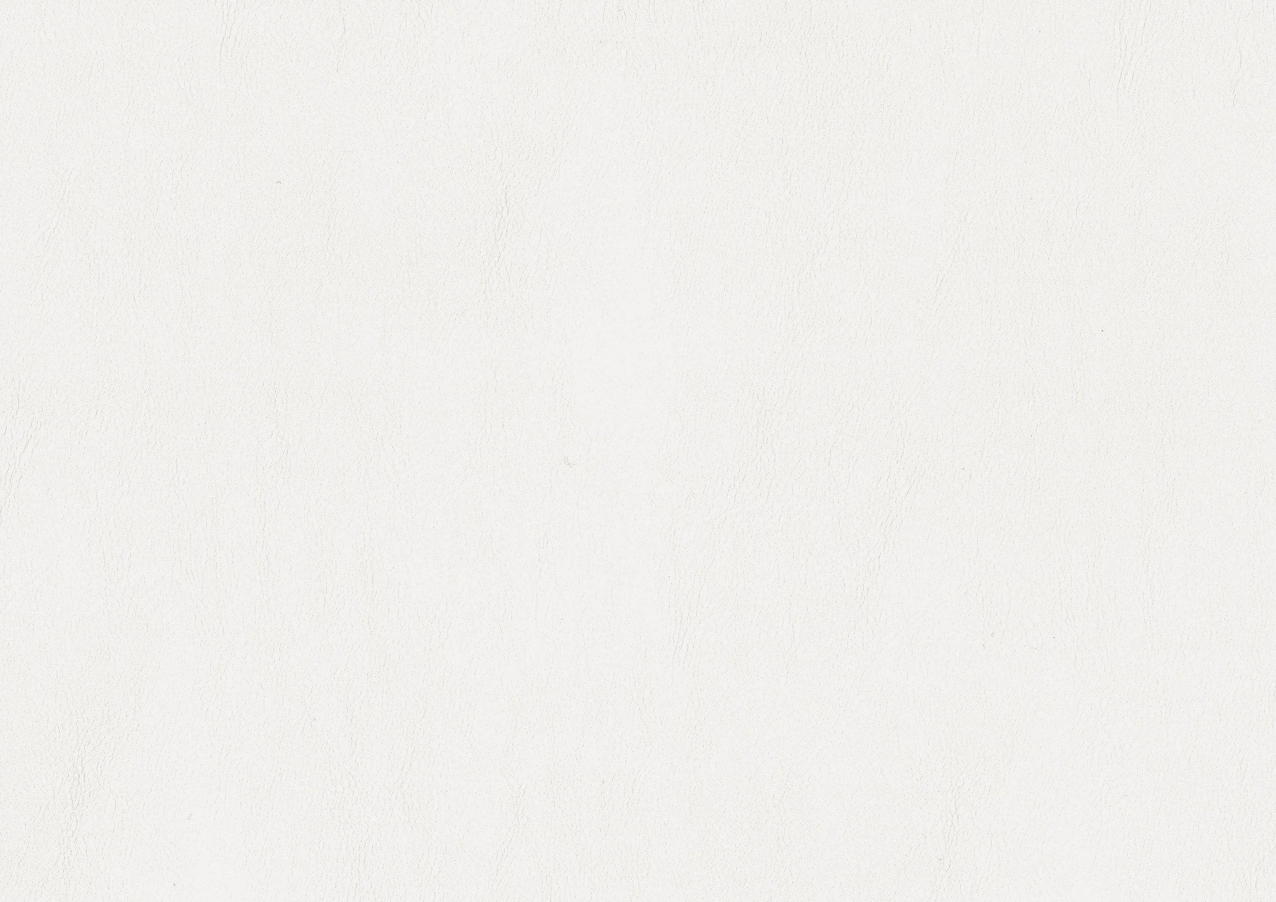 1556W_swatch.jpg
