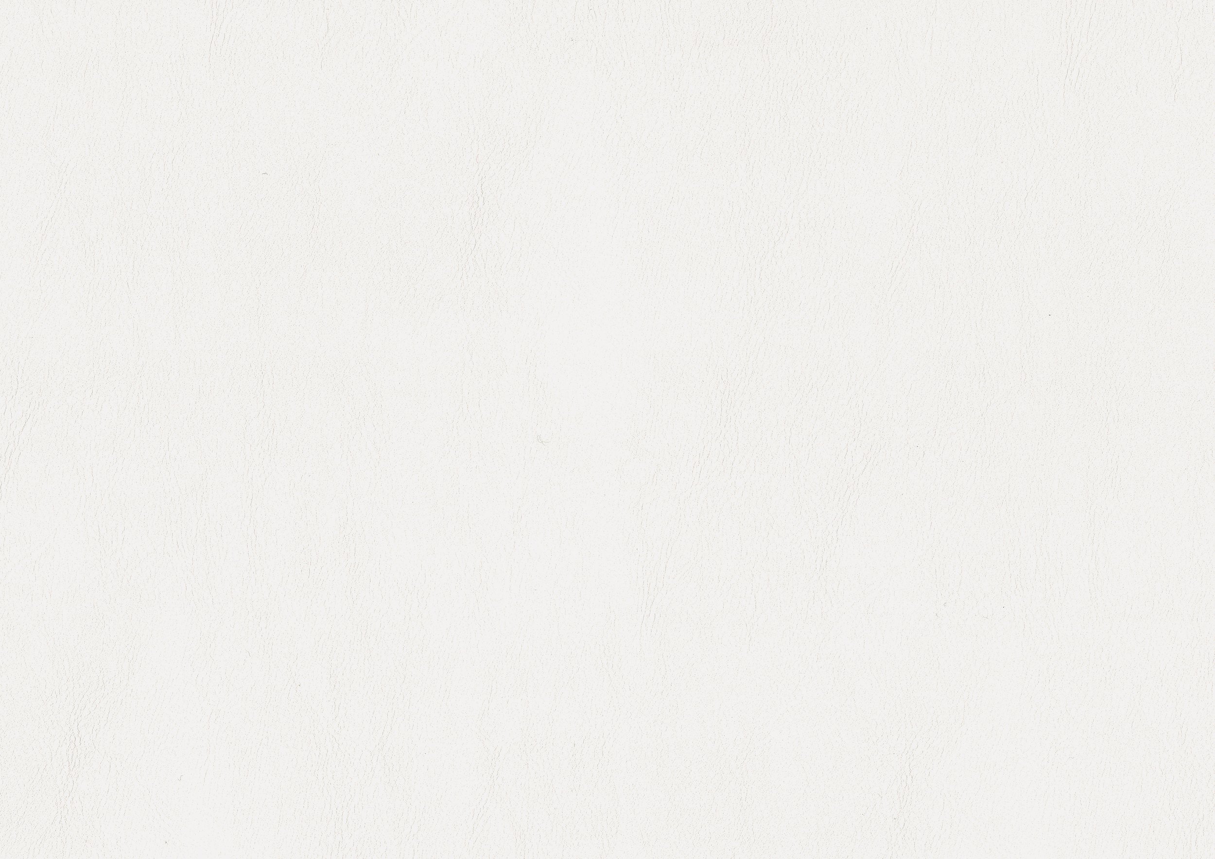 1556W_swatch.jpg
