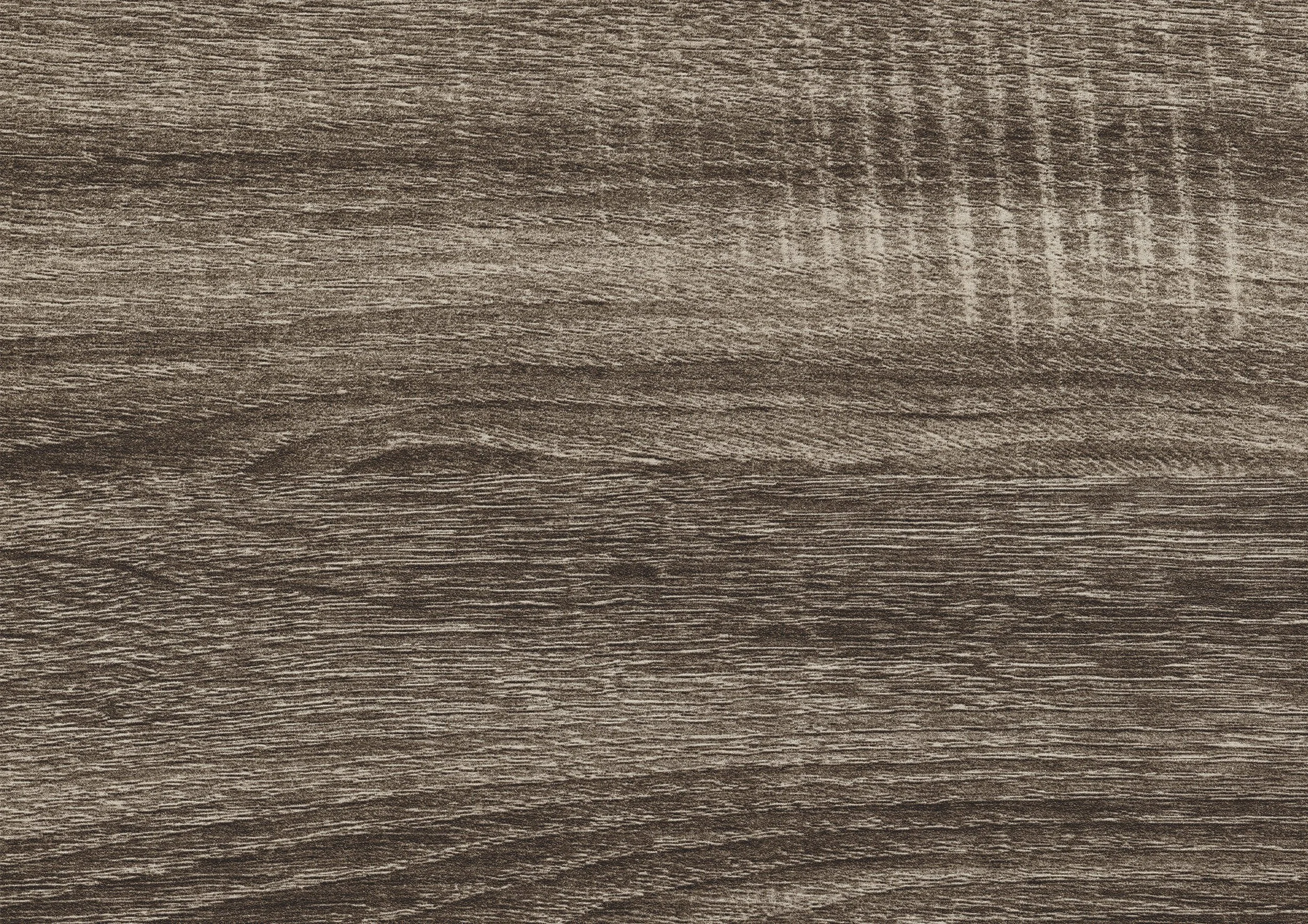 1904_panel.jpg